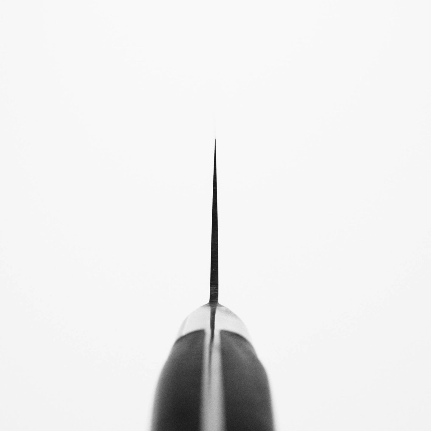 Choil shot of Masamoto VG yo-gyuto knife