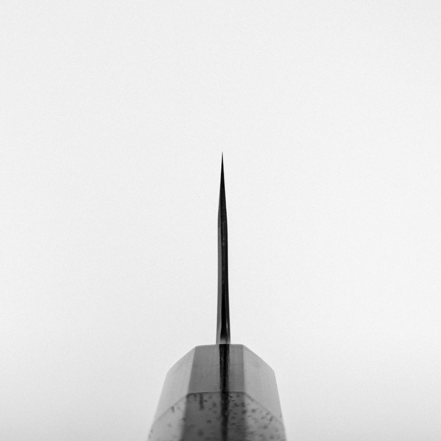 A close up photo showing the choil shot of Yoshikazu Tanaka shirogami#1 double bevel honesuki knife