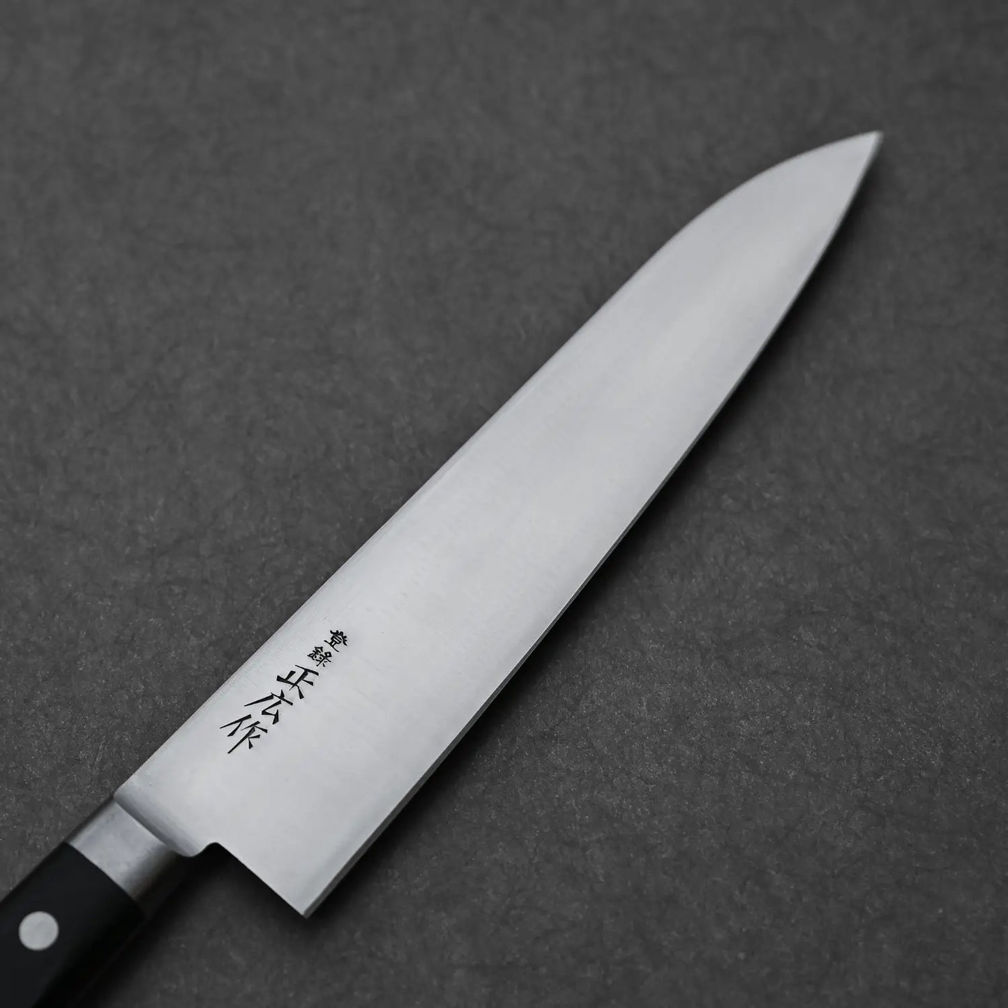 Close-up of the front blade of the 240mm chef's knife from Masahiro