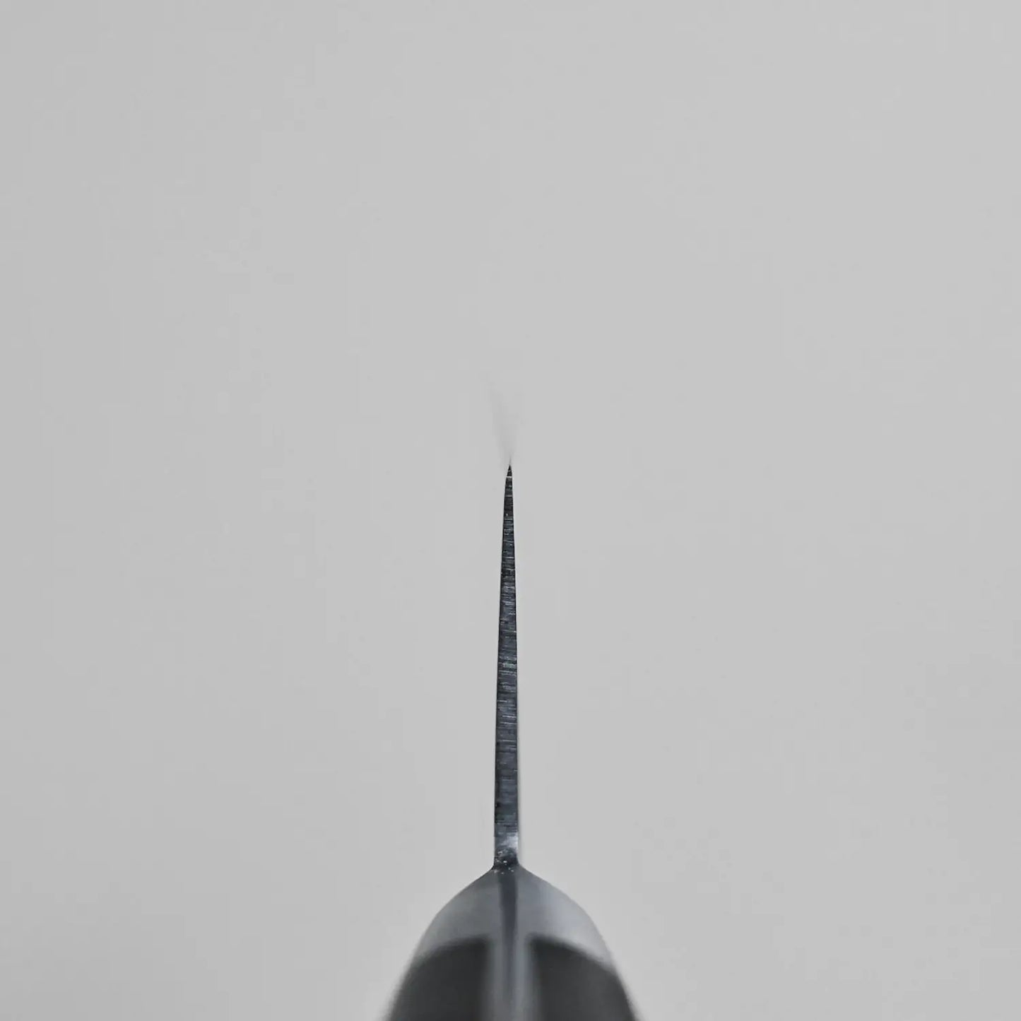 Choil shot of the Masahiro ZCD-U gyuto knife showing the asymmetric grind