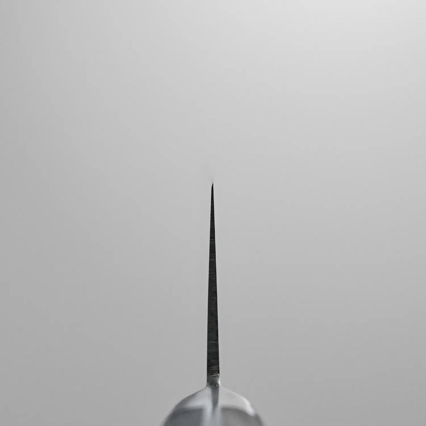 Choil shot of the Masahiro ZCD-U vegetable knife showing the asymmetric grind