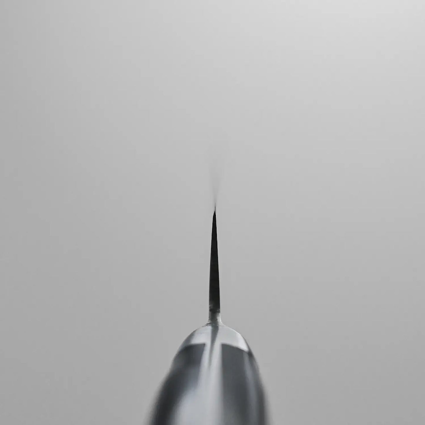 Choil shot of the Masahiro petty knife showing the asymmetric grind
