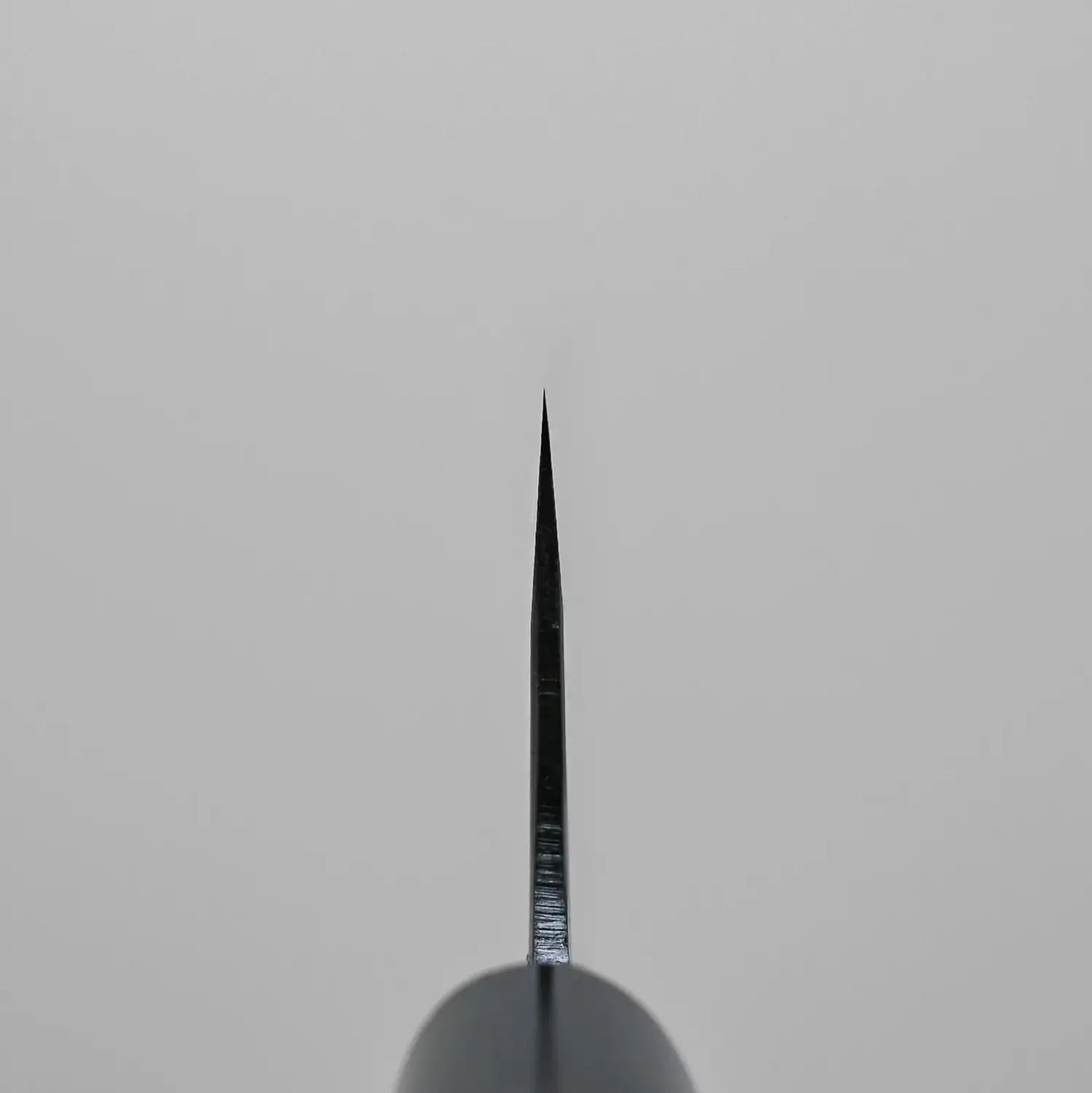 Choil shot of the Ohishi chef's knife with aogami#1 core steel