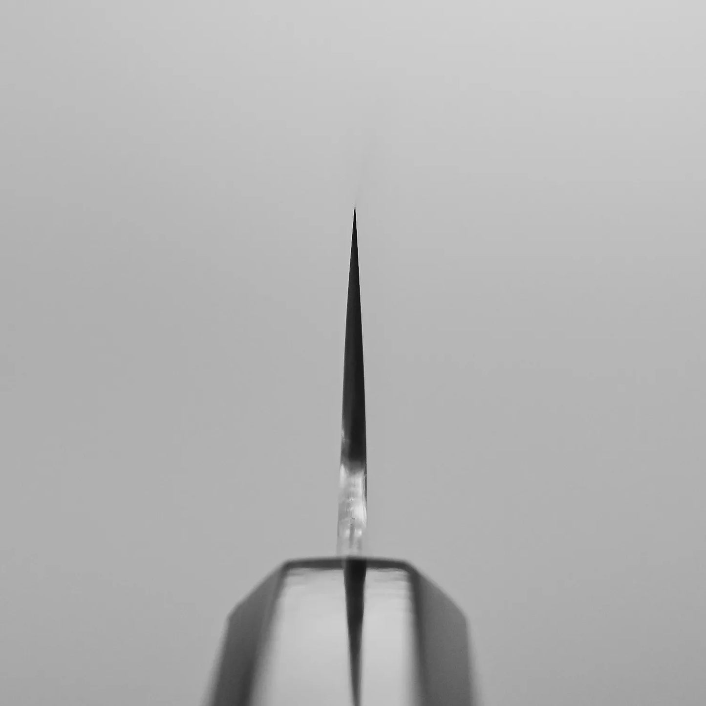 Close-up of the tip of a Sukenari ZDP189 gyuto 195mm chefs knife by Sukenari, photographed from the choil against a plain light background.