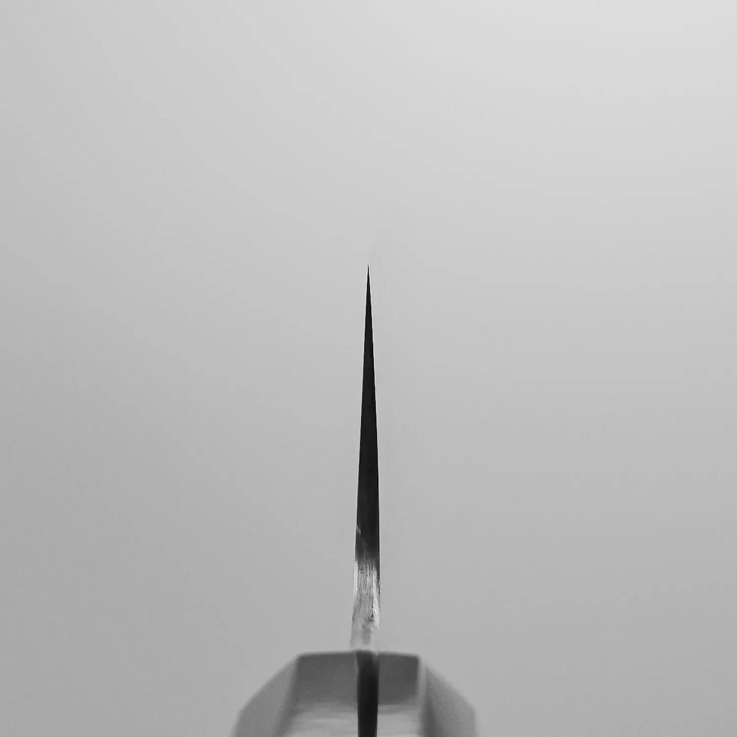Close-up of the sharp tip of the Sukenari ZDP189 kiritsuke gyuto 240mm, crafted in Toyama, Japan, photographed from the choil against a plain light gray background.