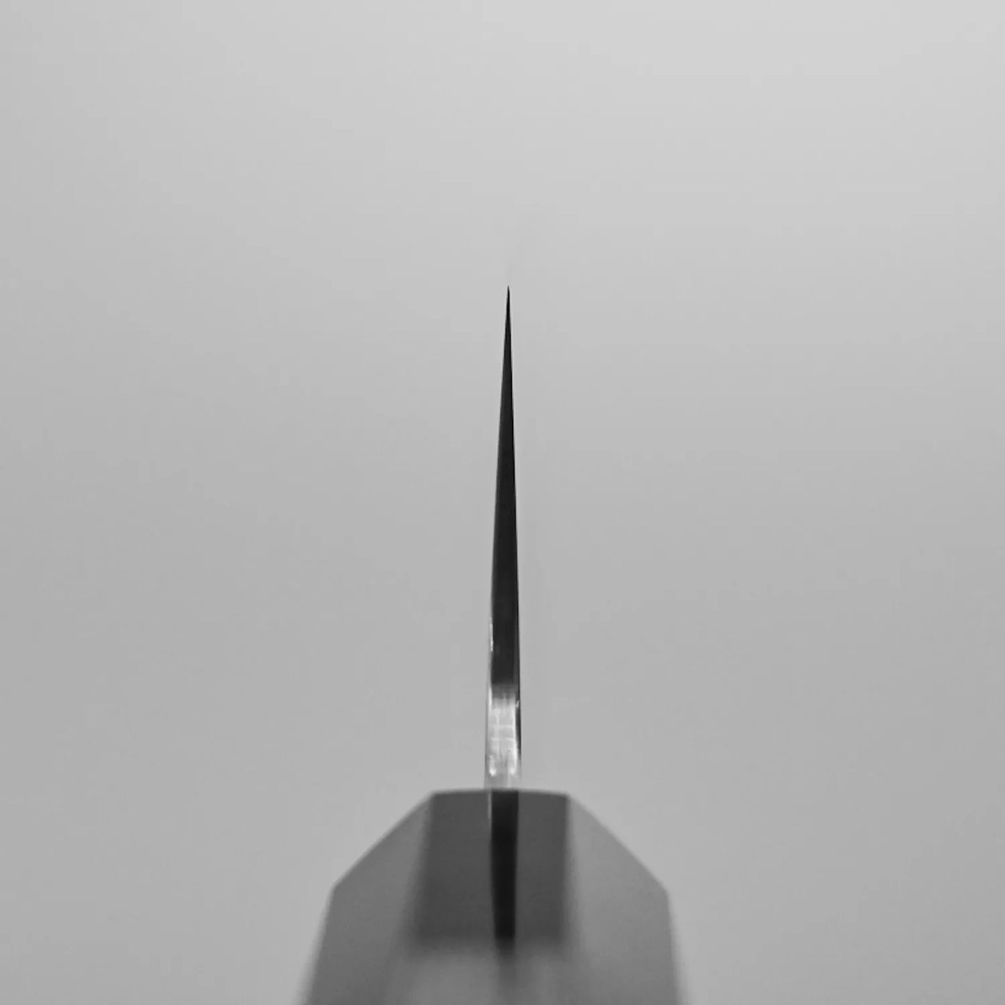 A centered close-up of the Sukenari ZDP189 kiritsuke gyuto 270mm’s tip, photographed from the choil with the blade pointing upward against a plain, light background.
