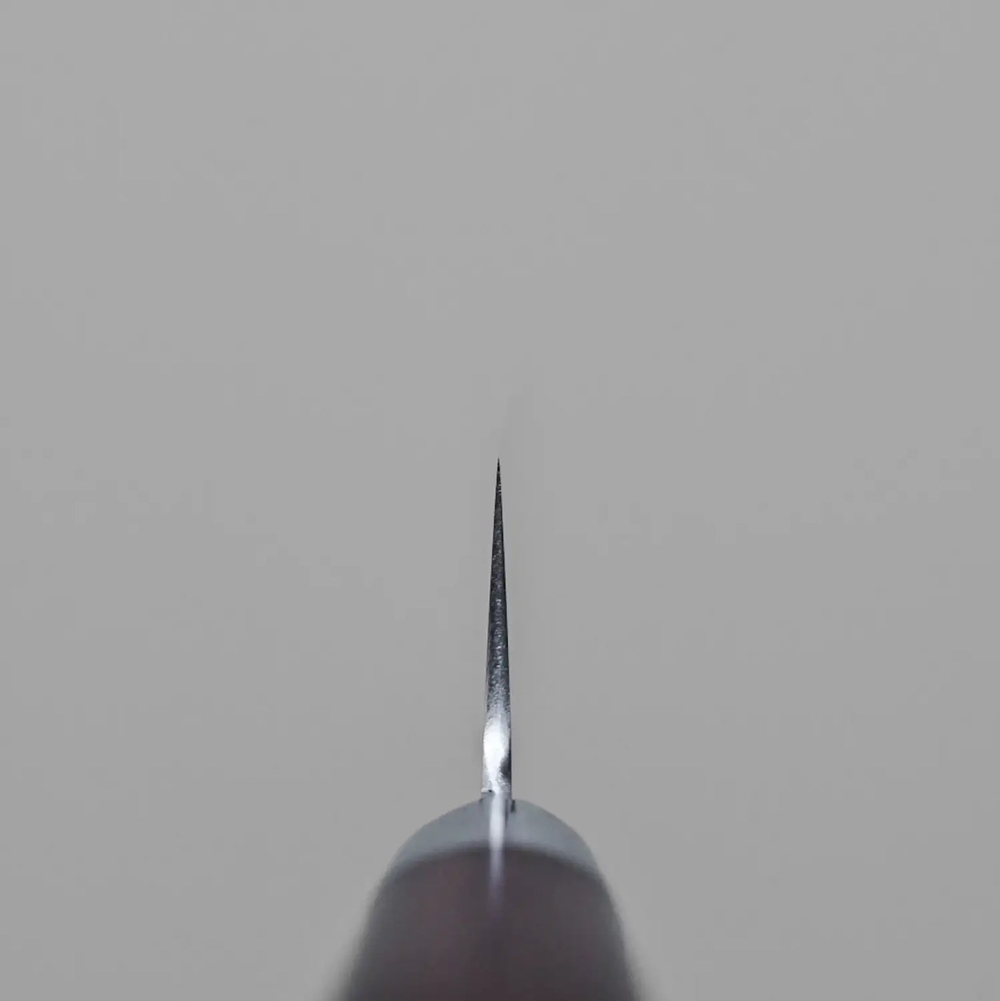 Choil shot of the SG2 petty