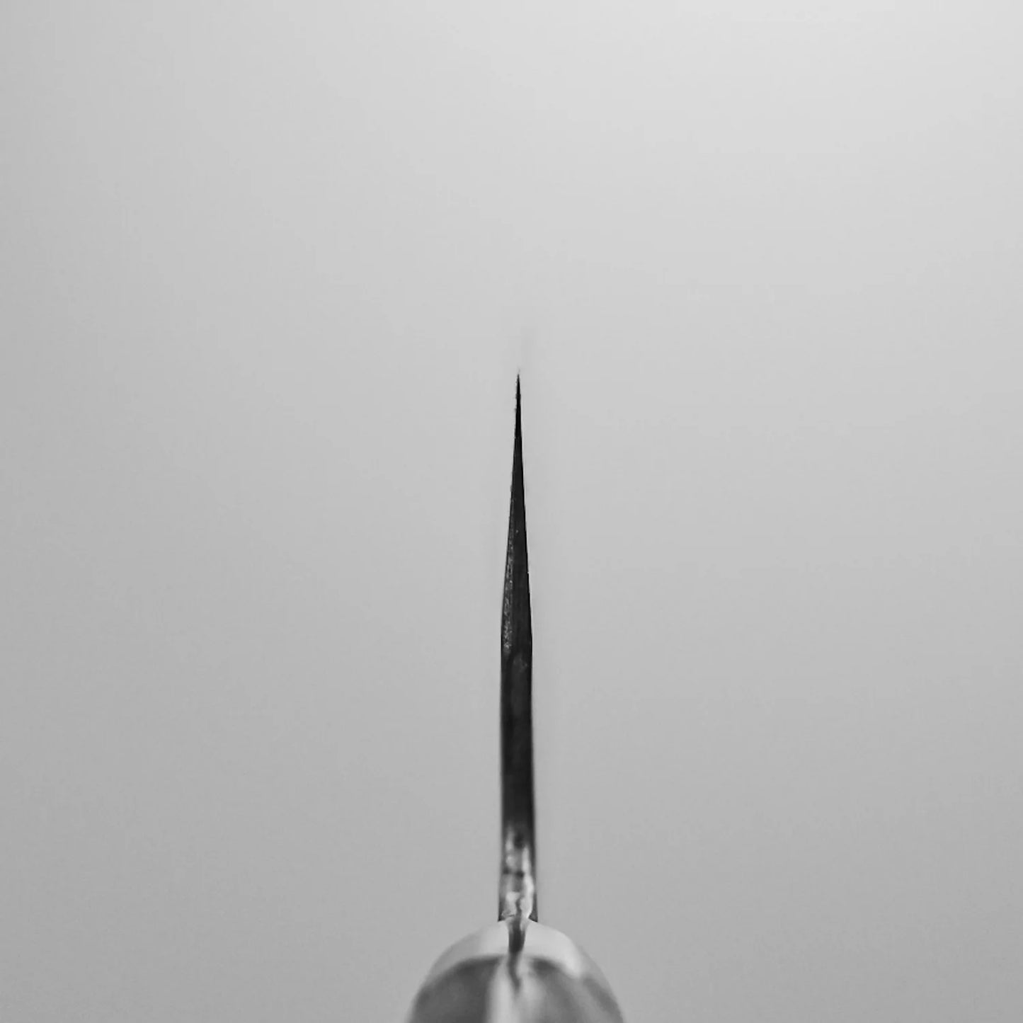 Choil shot of the Fujiwara chef's knife