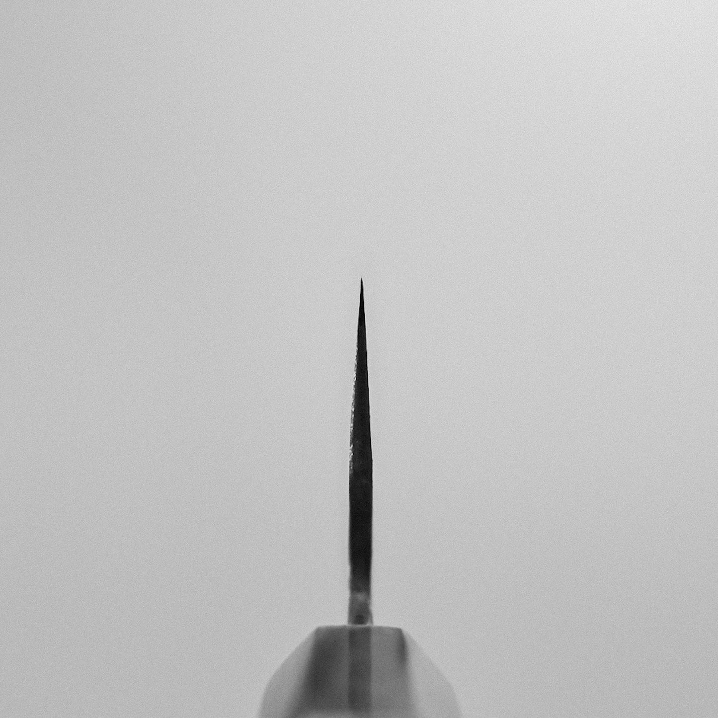 A close-up, black-and-white image shows the sharp tip of a Teruyasu Fujiwara Maboroshi shirogami#1 wa-gyuto 210mm with custom handle and saya, polished choil, centered against a plain, light background.