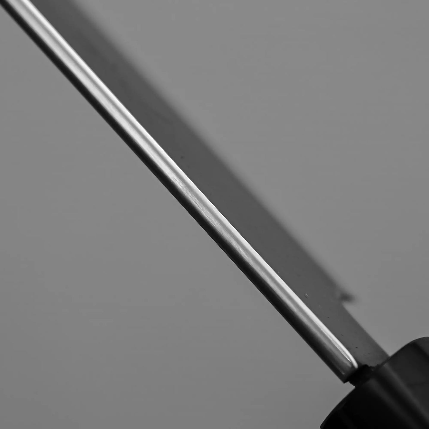 Close-up shot of the spine of the kiritsuke yanagiba