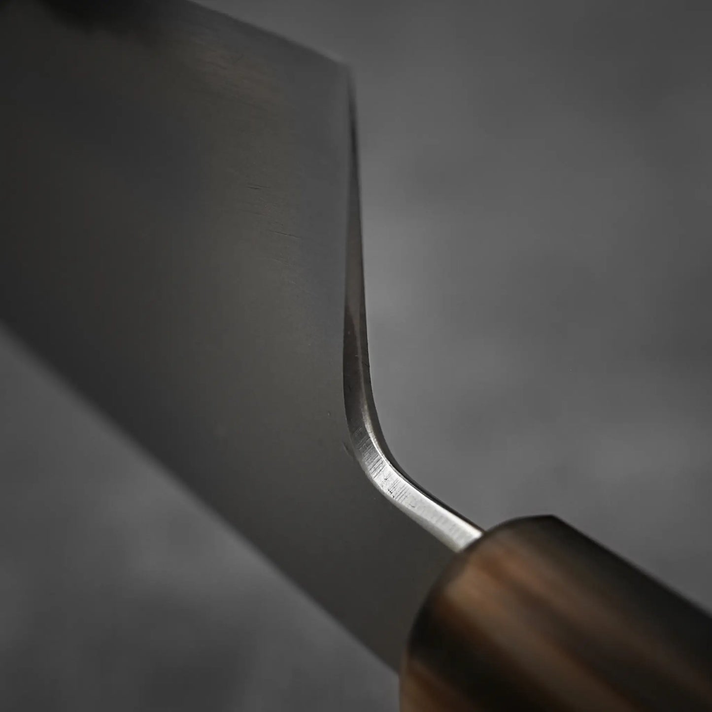 Close-up of the Yoshikazu Tanaka AS tall gyuto 210mm, focusing on the junction between its Aogami Super blade and wooden handle, set against a blurred gray background.
