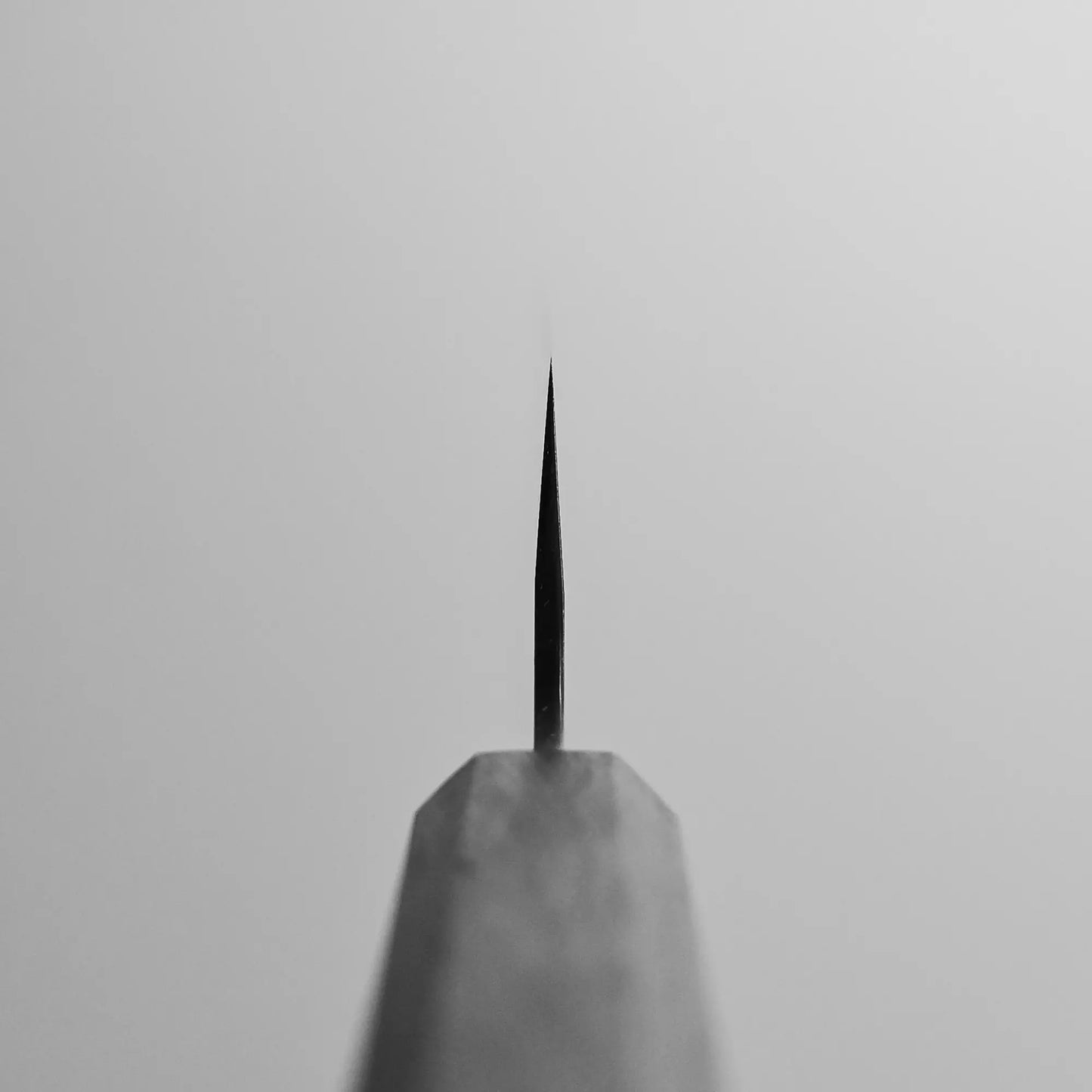 Choil shot of the Kurosaki sujihiki with kiritsuke tip