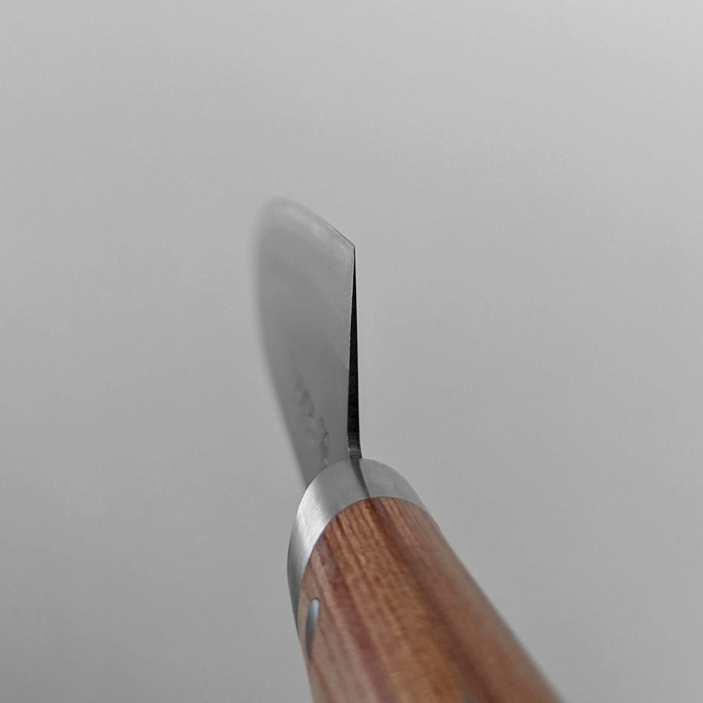 Masahiro special carbon funayuki 180mm - Zahocho Japanese Knives