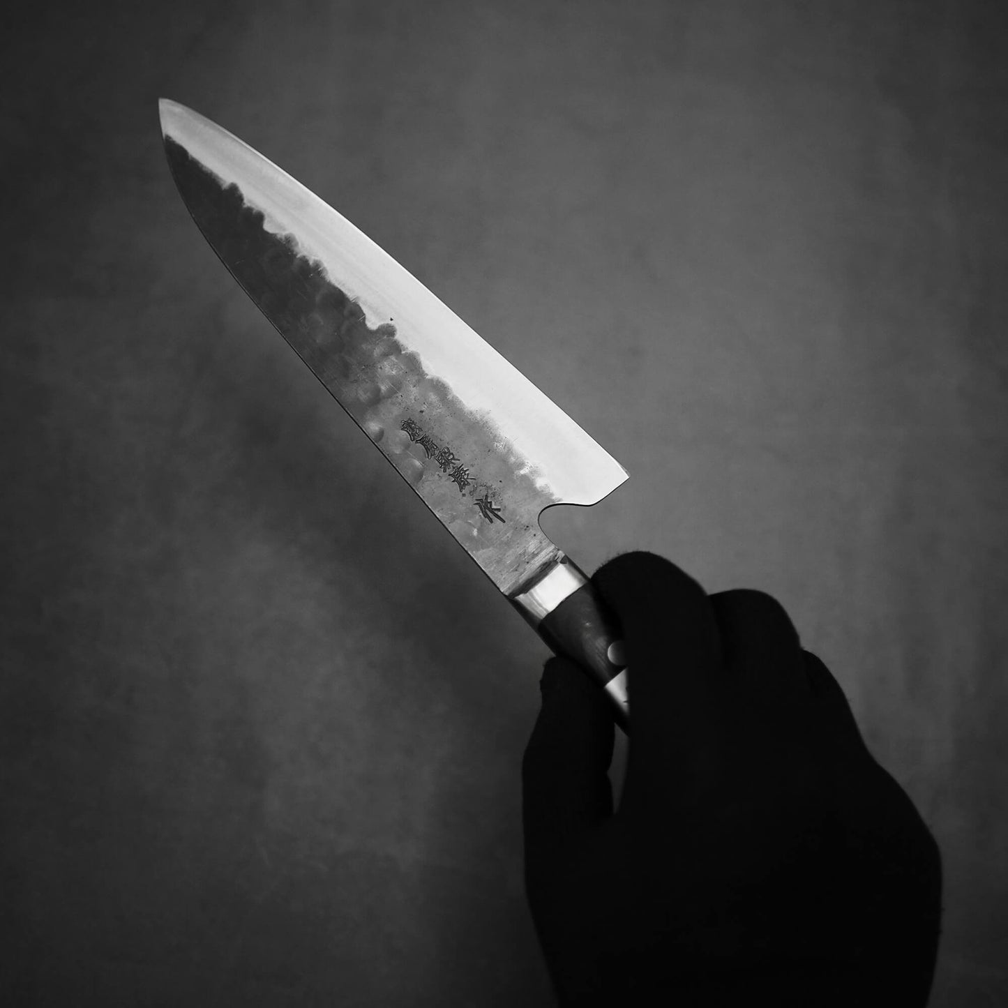 Teruyasu Fujiwara Denka gyuto 180mm