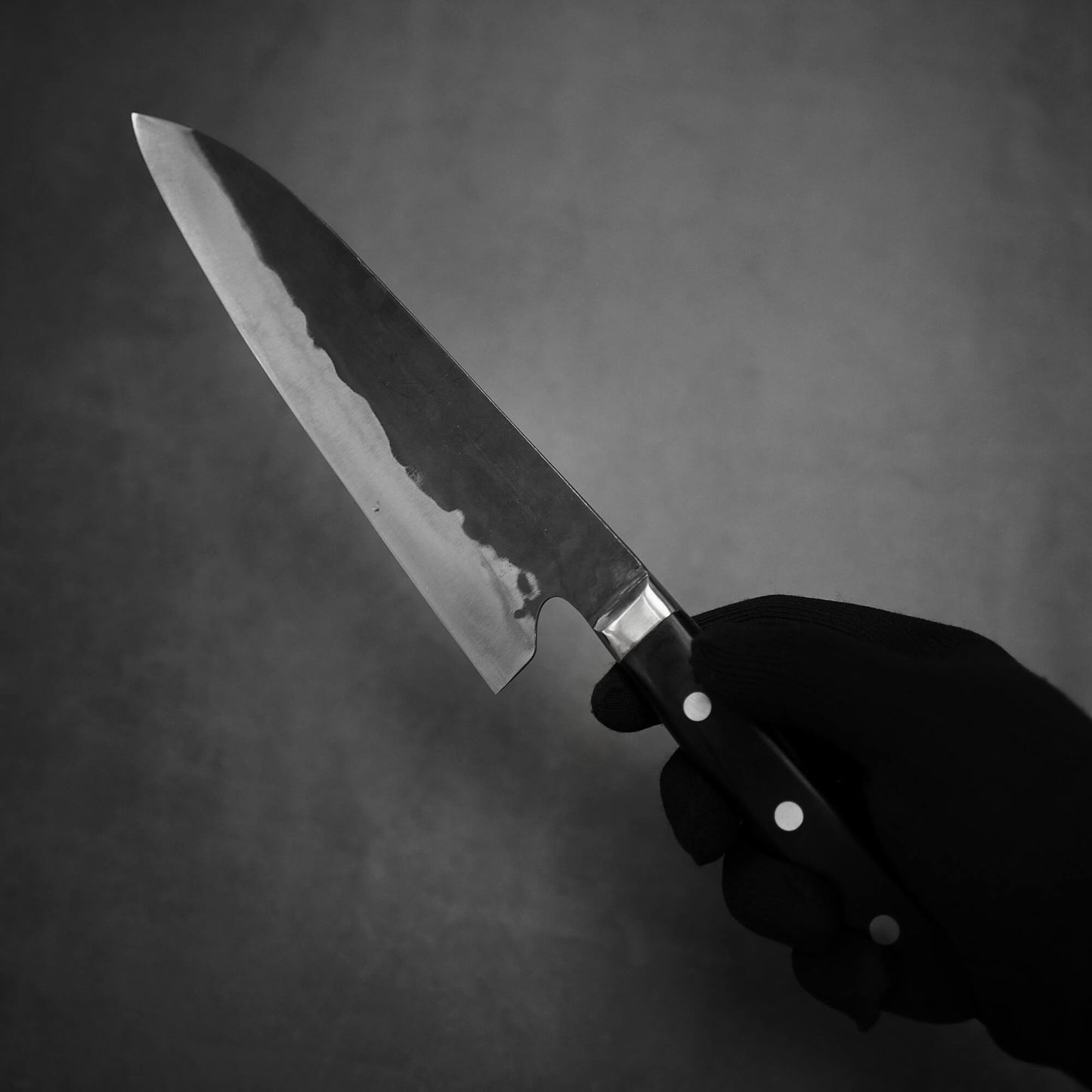 Teruyasu Fujiwara Denka gyuto 180mm