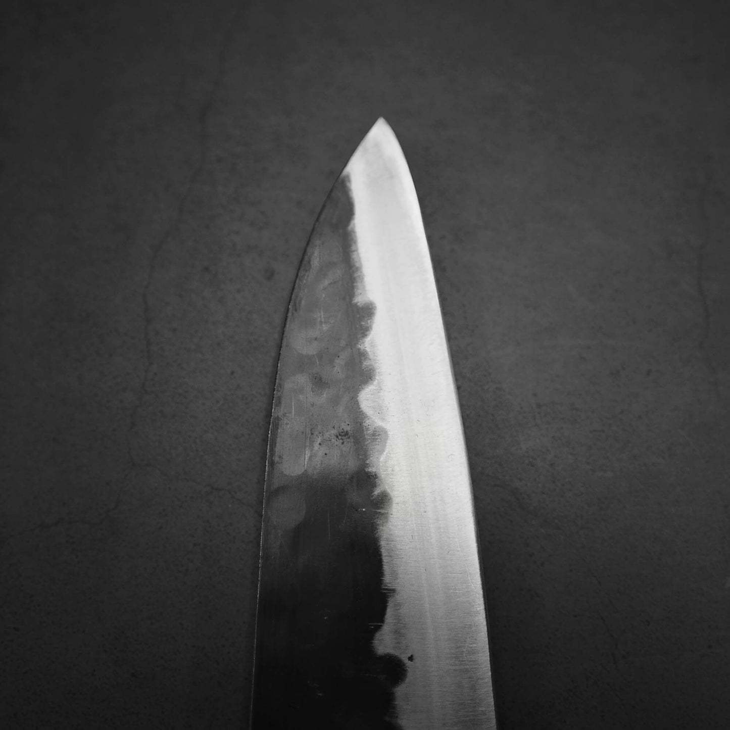 Teruyasu Fujiwara Denka gyuto 180mm