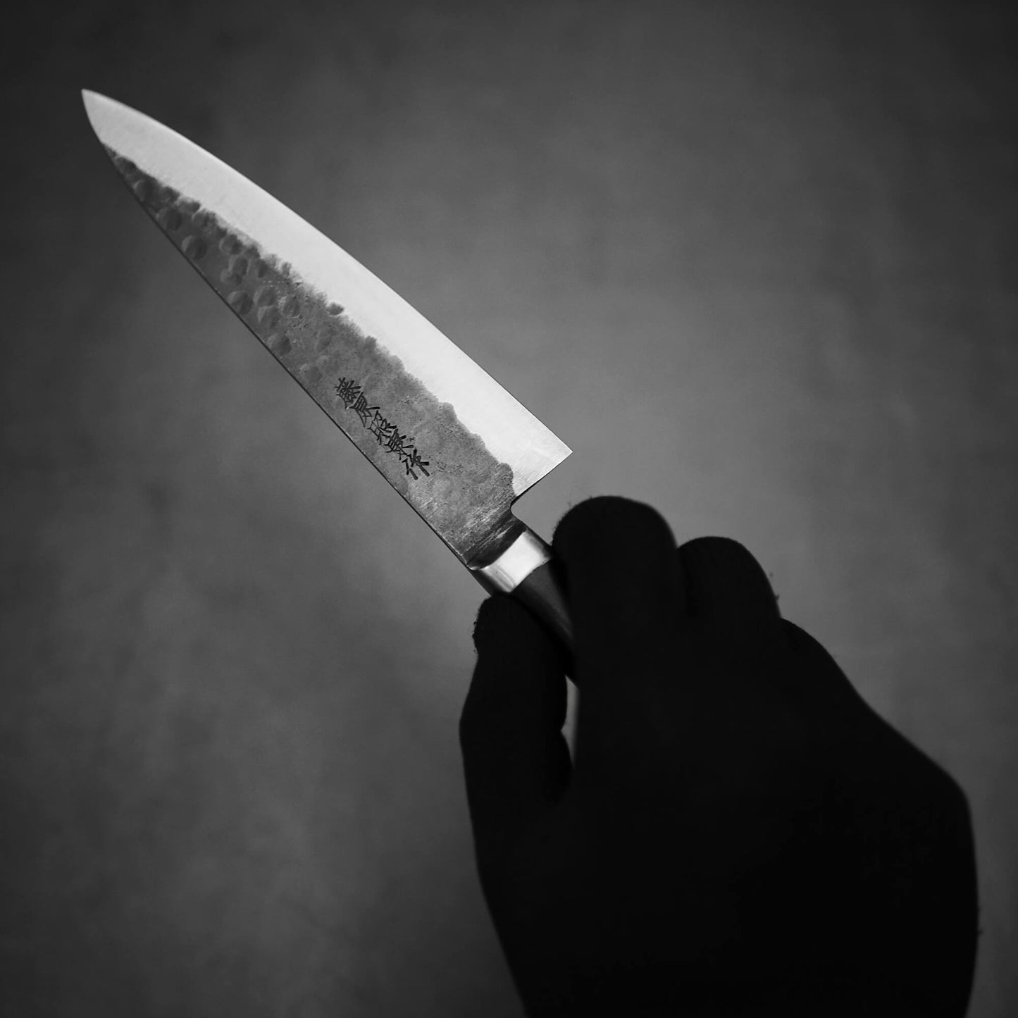 Teruyasu Fujiwara Denka petty knife 150mm