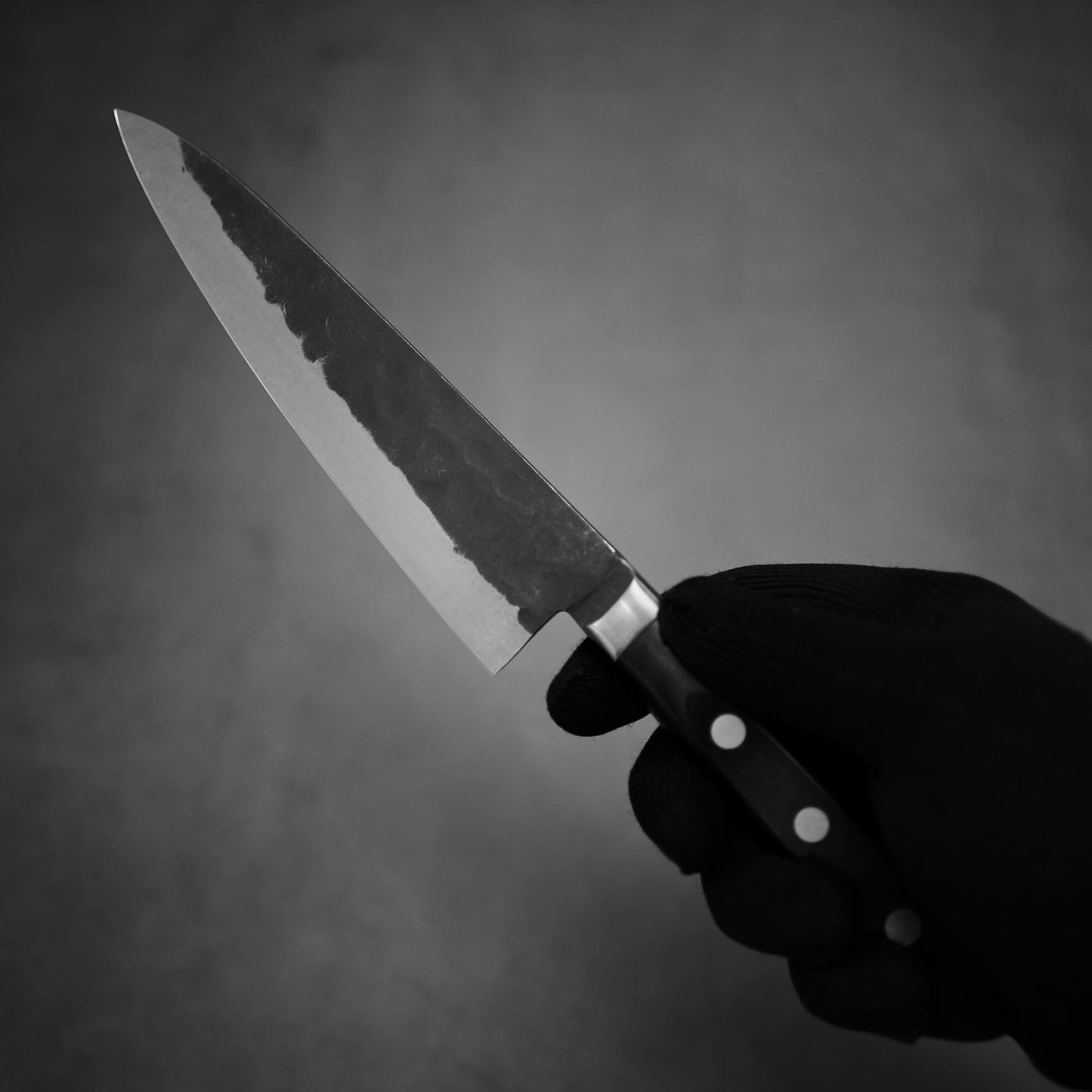 Teruyasu Fujiwara Denka petty knife 150mm