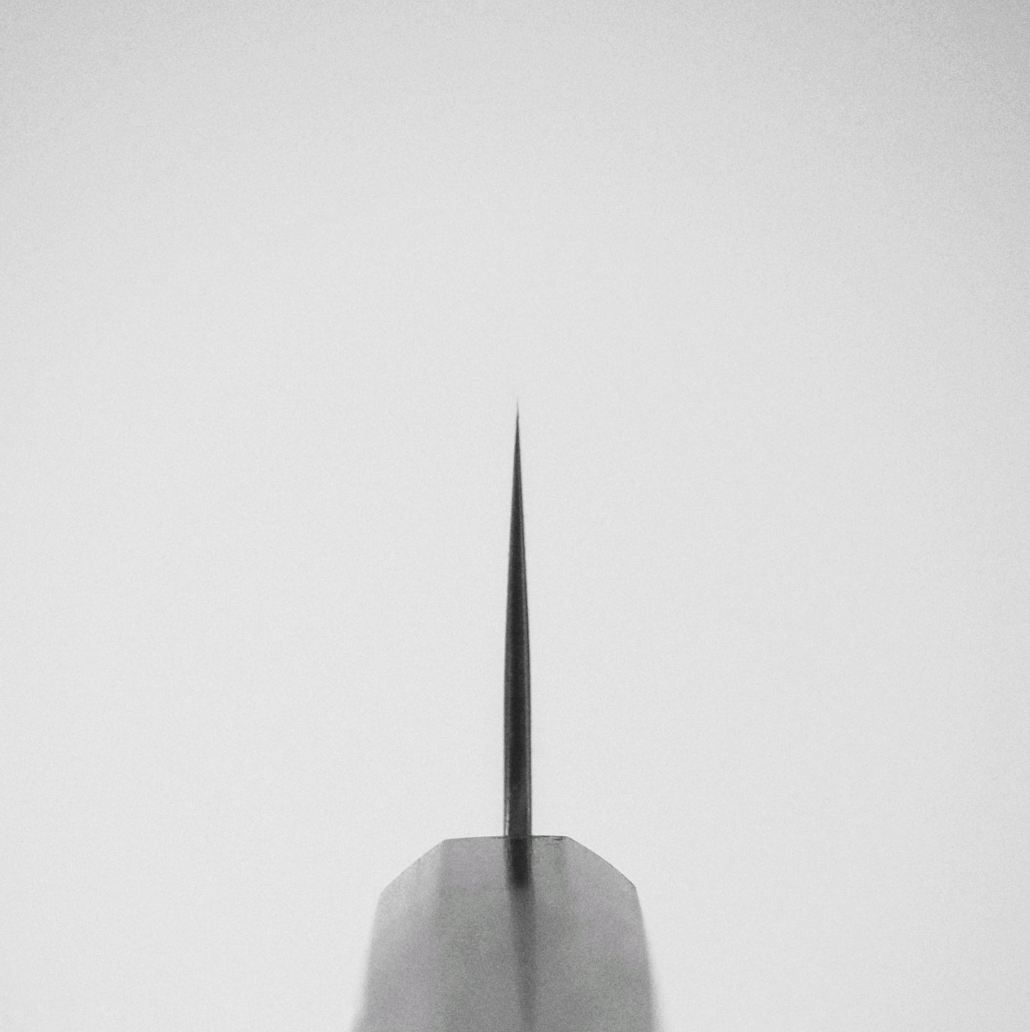 Yoshihiro nashiji ginsan gyuto 210mm (with magnolia saya)