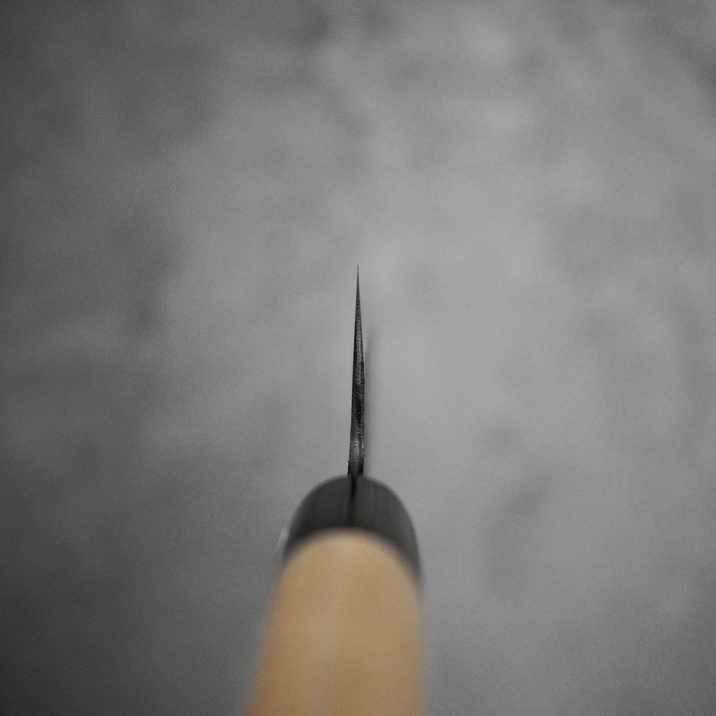 Hinoura kurouchi shirogami#2 gyuto 240mm