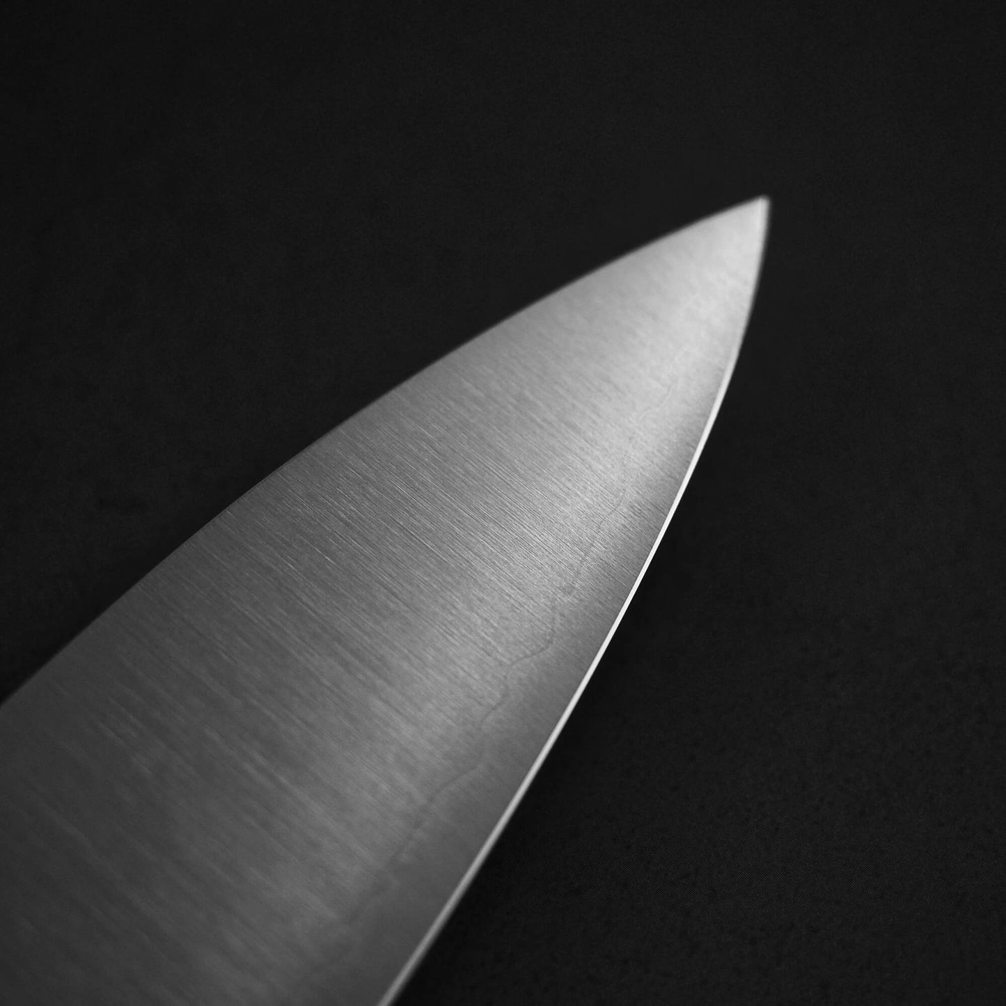 Kei Kobayashi SG2 gyuto 210mm