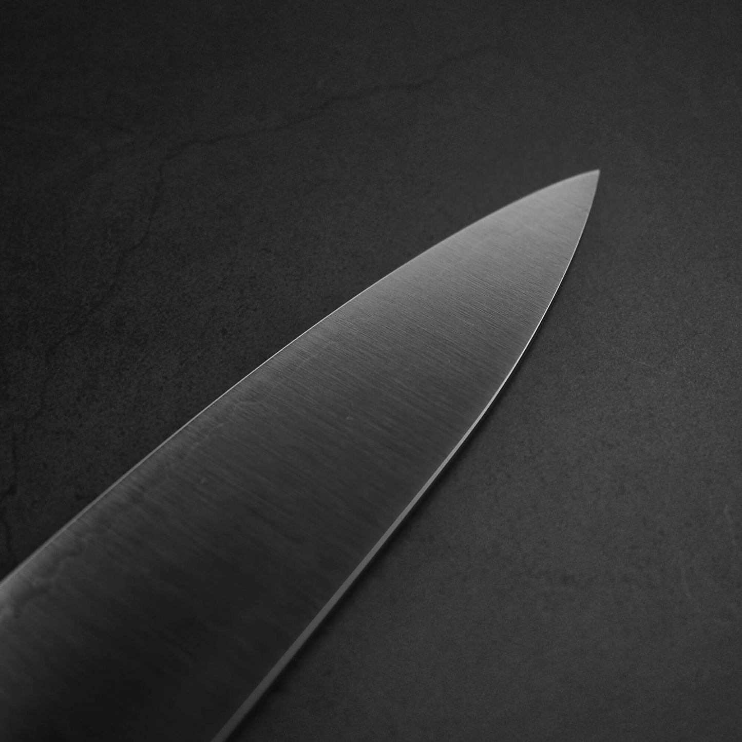 Kei Kobayashi SG2 gyuto 210mm