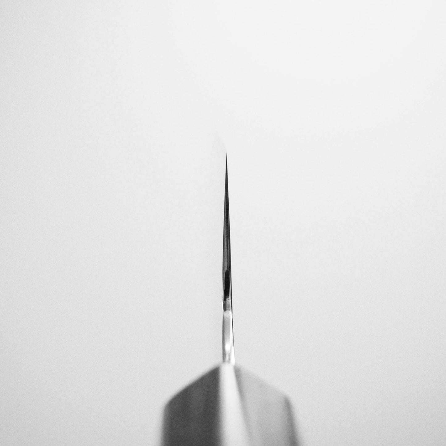 Kei Kobayashi SG2 gyuto 210mm