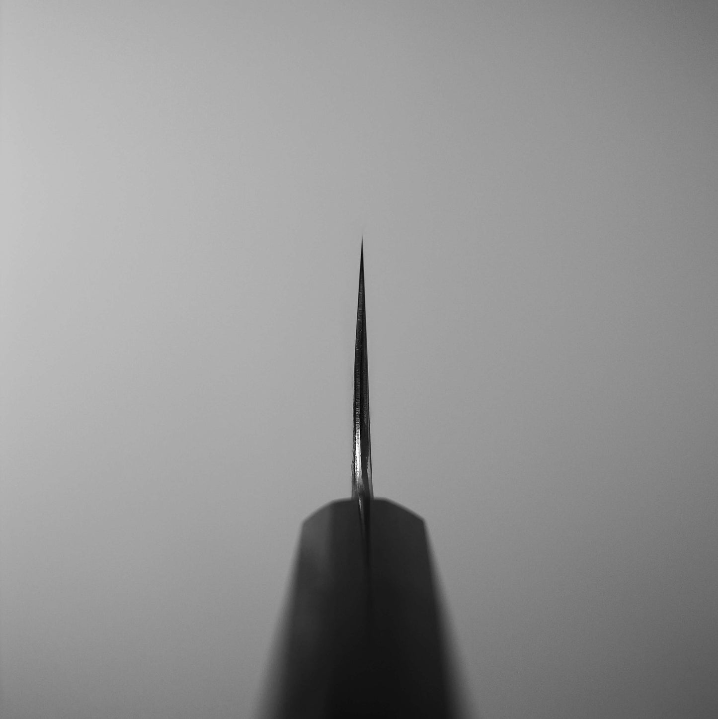 Kisuke x Zahocho tsuchime aogami #2 230mm gyuto (stainless clad) - Zahocho Japanese Knives
