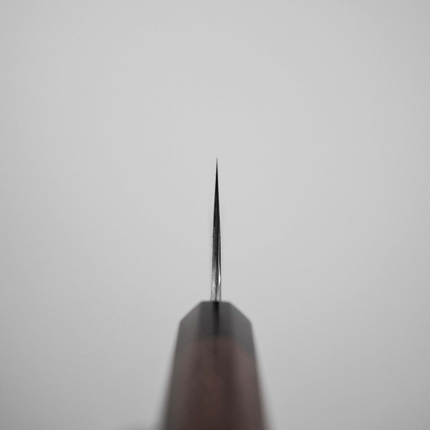 Nakagawa tsuchime kurouchi shirogami#1 tall gyuto 240mm - Zahocho Japanese Knives