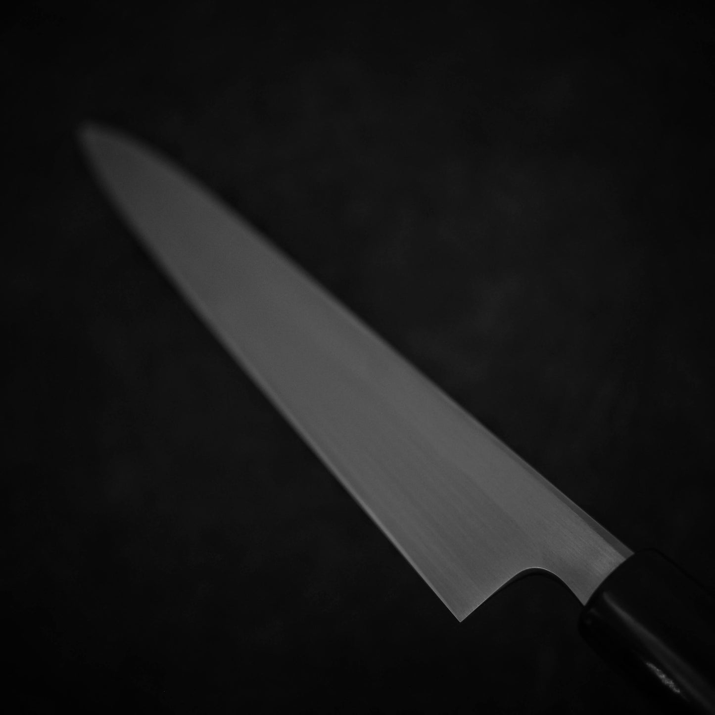 270mm kasumi yanagiba Shigefusa knife back side view