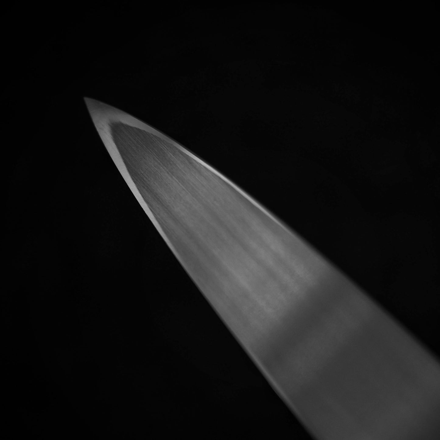 Close-up view of 270mm kasumi yanagiba Shigefusa knife showing tip area