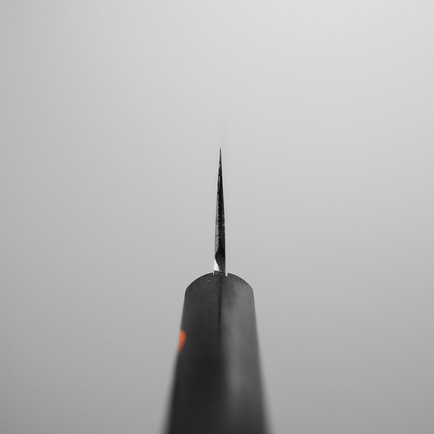 Close-up of the tip of a Shigeki Tanaka VG10 damascus santoku 165mm knife blade, photographed from above with its sharp edge in focus against a plain light gray background.