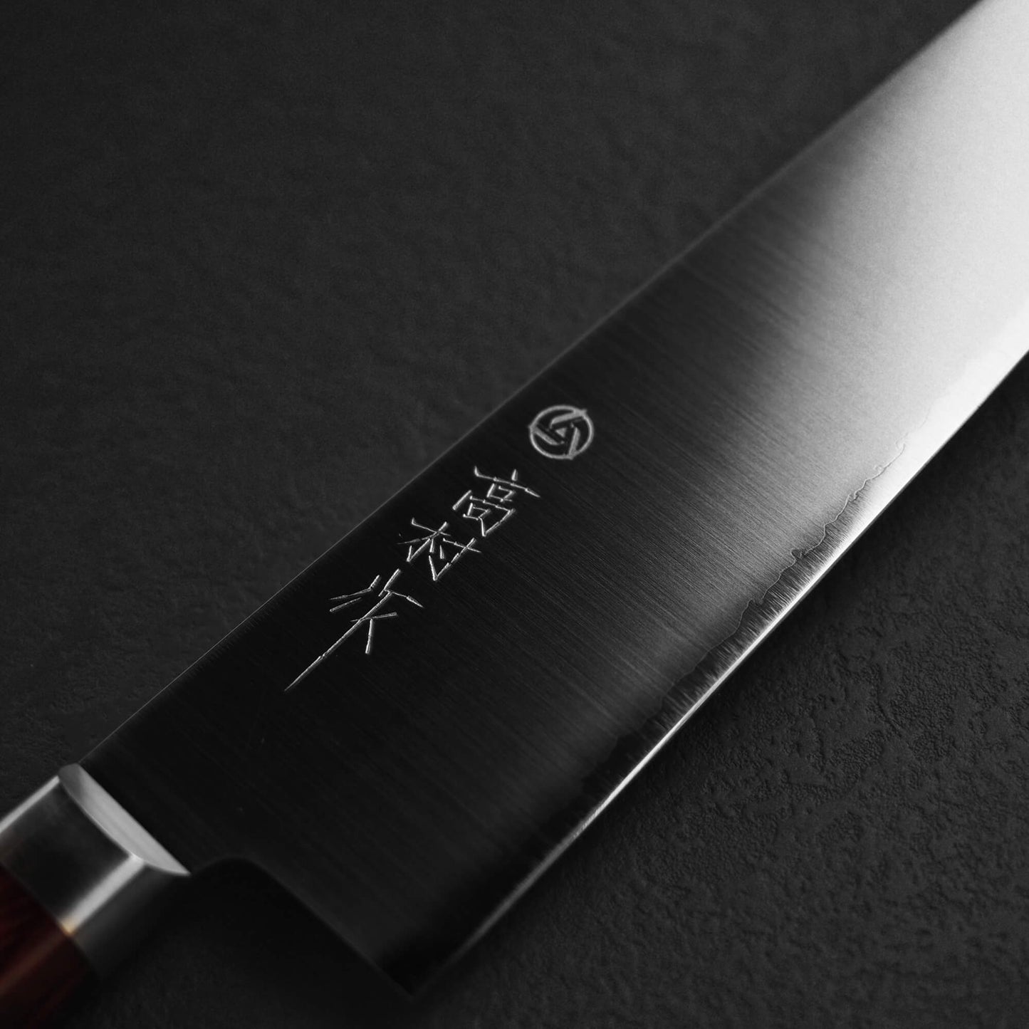 Takamura migaki SG2 gyuto 210mm