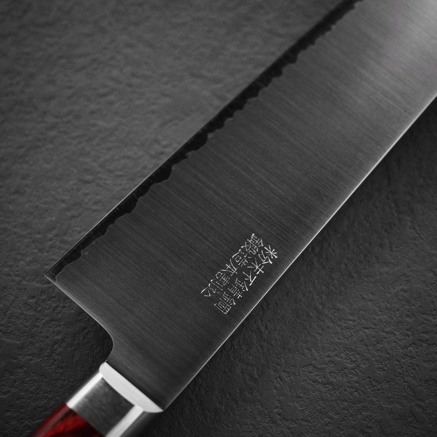 Takamura migaki SG2 gyuto 210mm