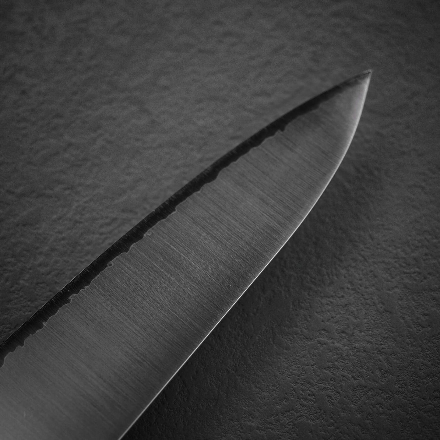 Takamura migaki SG2 gyuto 210mm
