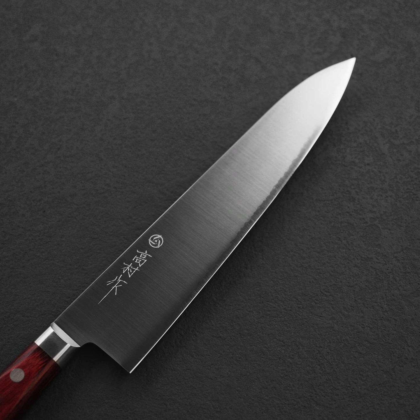 Takamura migaki SG2 gyuto 210mm