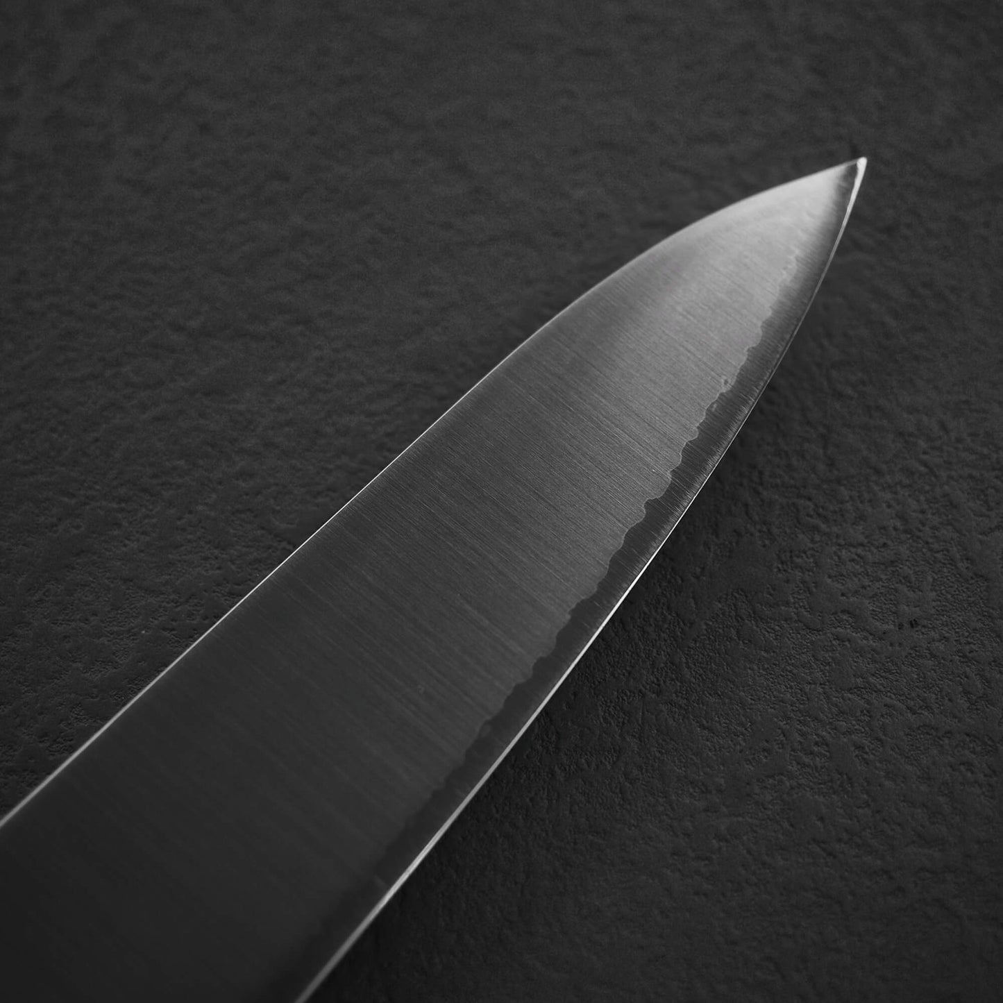 Takamura migaki SG2 gyuto 210mm