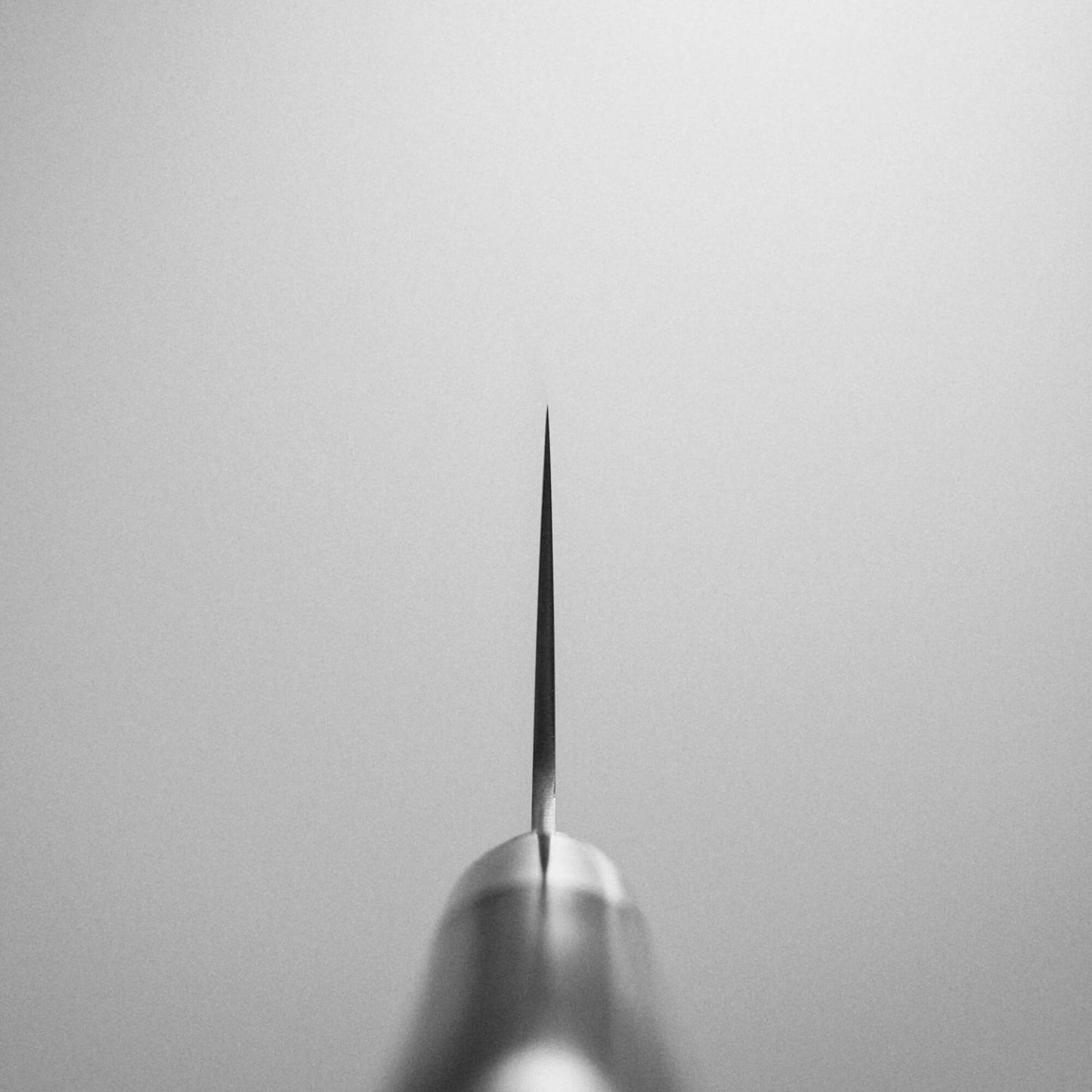 Takamura migaki SG2 gyuto 210mm