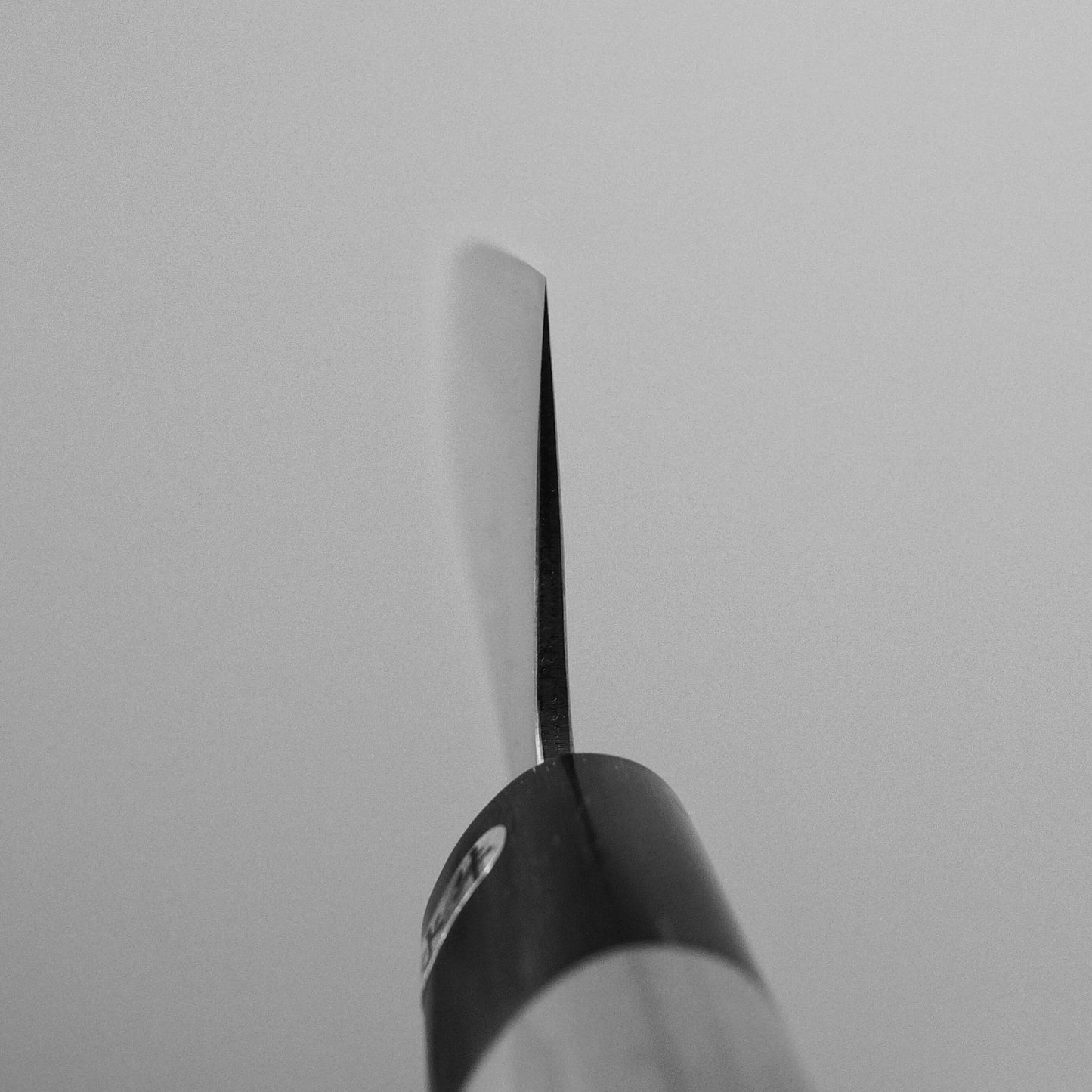 Watanabe Pro aogami #2 210mm gyuto - Zahocho Japanese Knives