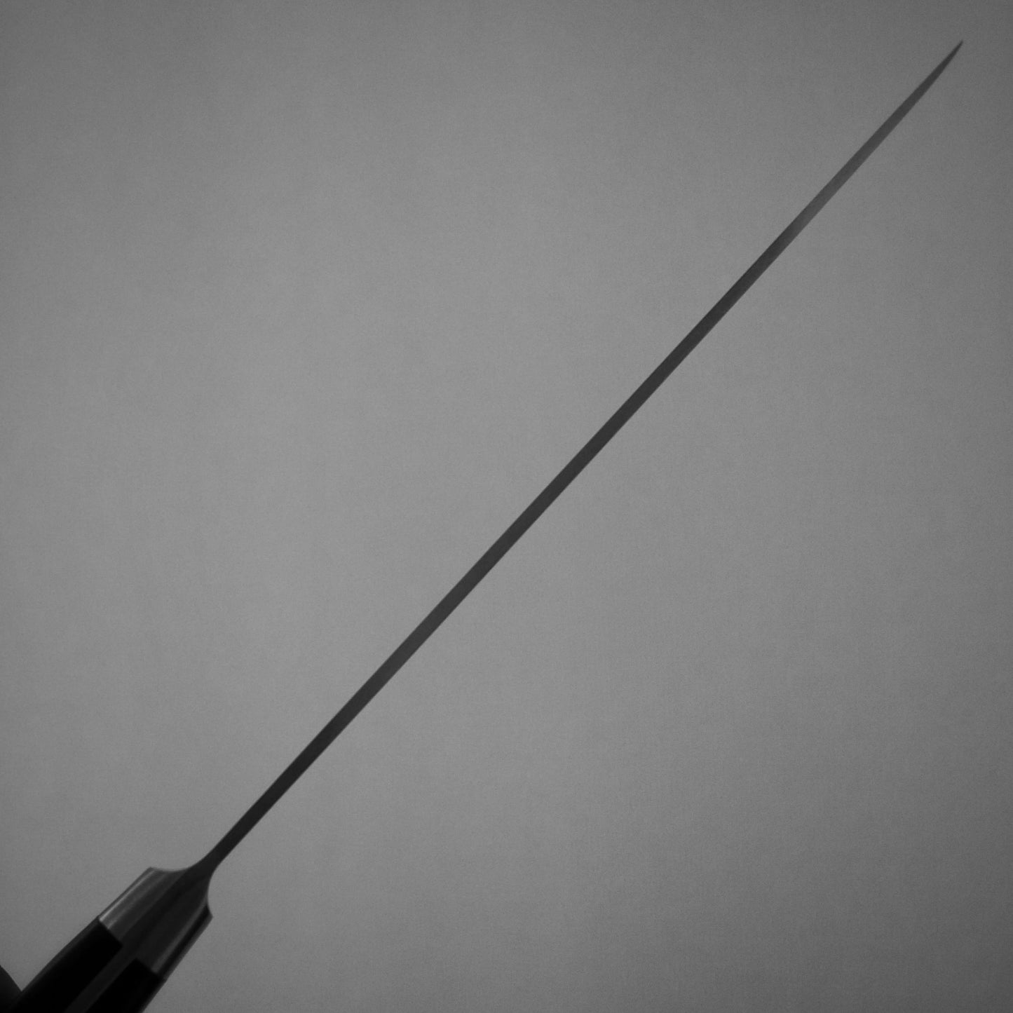 Masahiro VC 240mm tall gyuto - Zahocho Japanese Knives