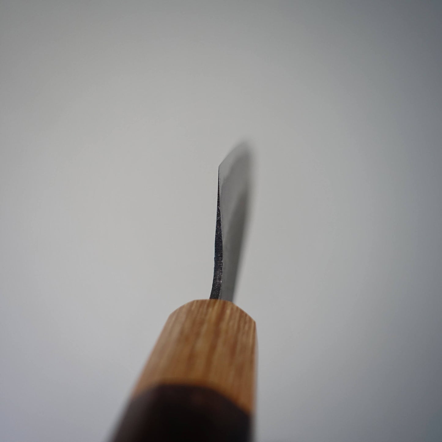 Yoshihiro kurouchi shirogami#2 210mm gyuto (custom handle) - Zahocho Japanese Knives