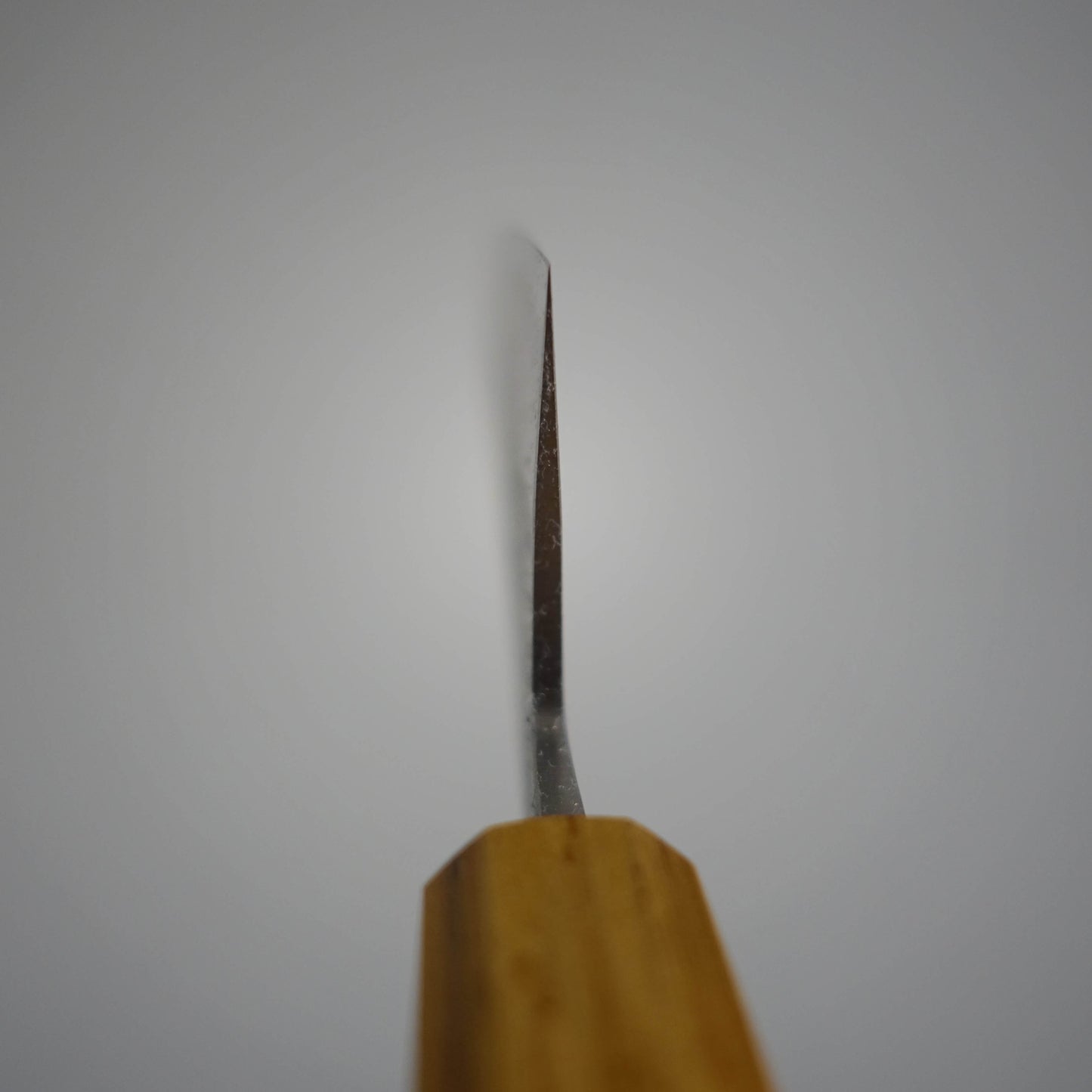 Shingen nashiji aogami #2 210mm gyuto (custom handle) - Zahocho Japanese Knives