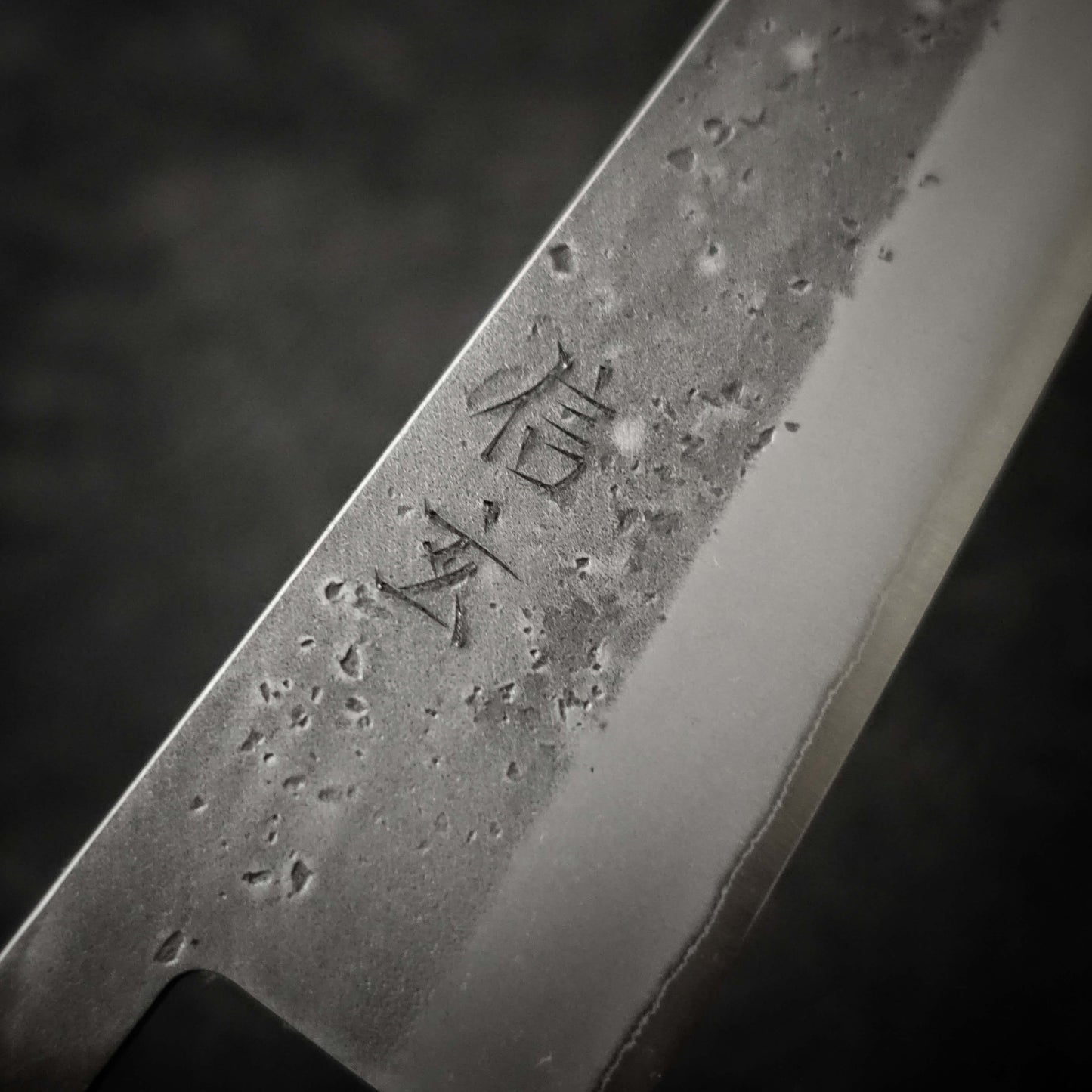 Shingen nashiji aogami #2 210mm gyuto (custom handle) - Zahocho Japanese Knives