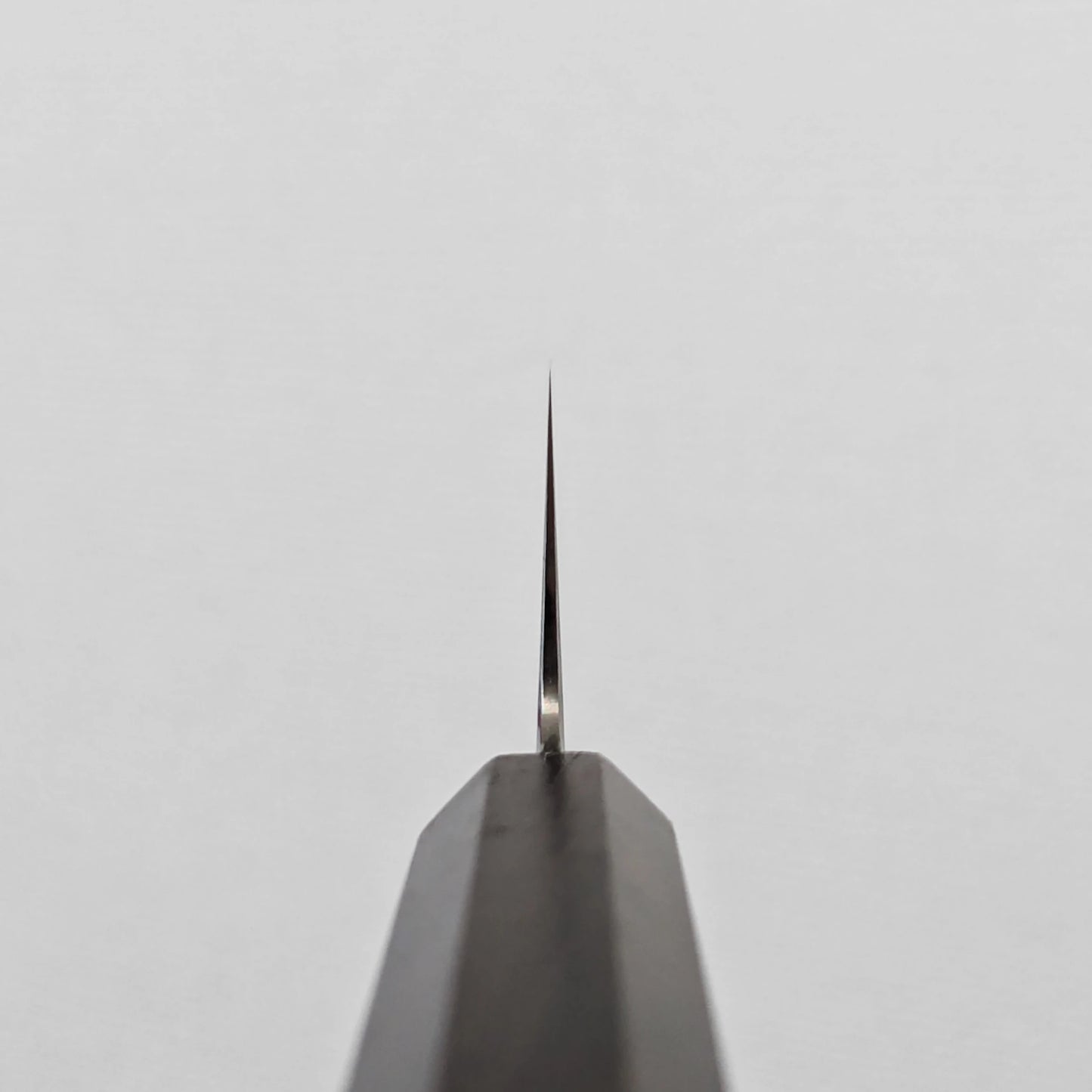 Choil shot of the ginsan gyuto knife