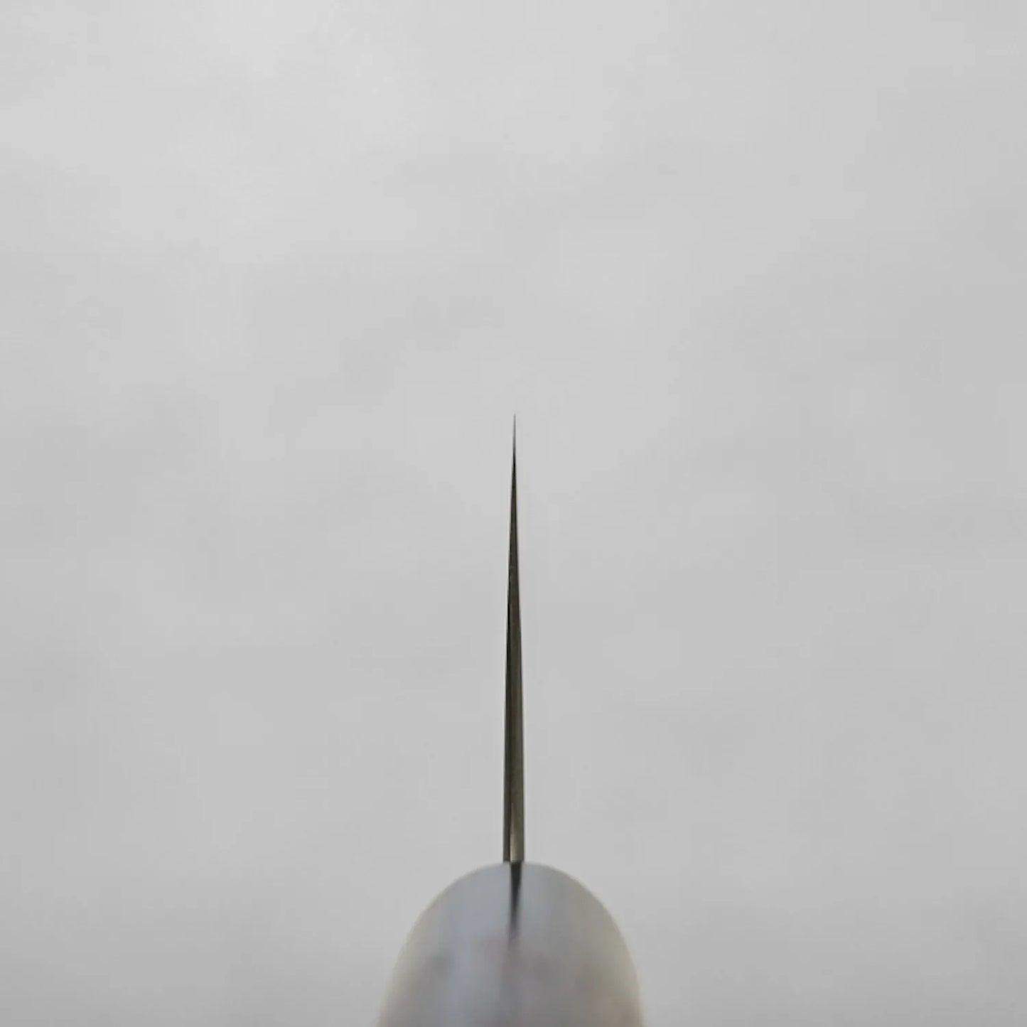 Close-up of a nakiri blade tip highlighting its distinctive straight edge and flat profile.