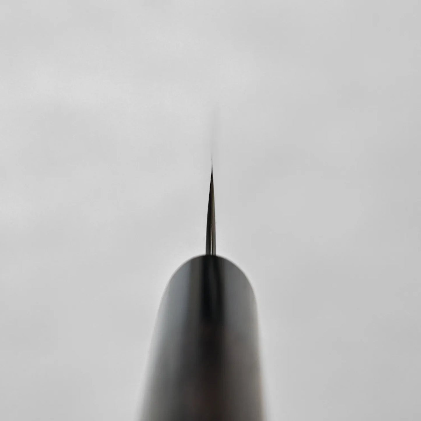 Petty knife tip close-up, photographed from above. Blade details are clear and in focus.