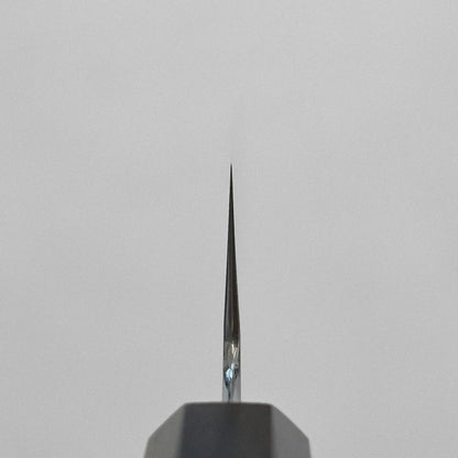 Close-up of kiritsuke gyuto 210mm tip, showcasing blade details and shape in sharp focus.