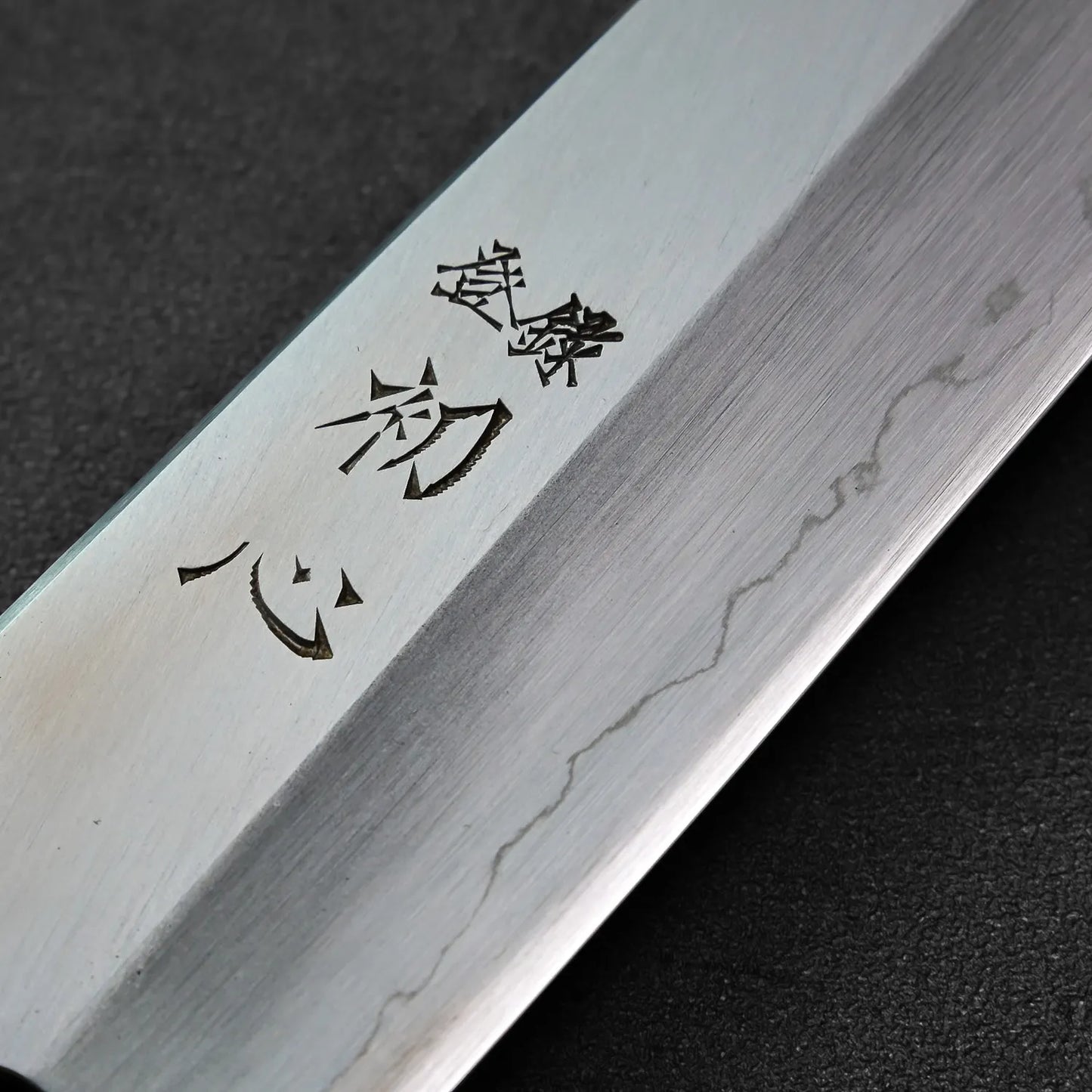 Close-up of kiritsuke gyuto blade with kanji, showing the 210mm edge and distinct silhouette.