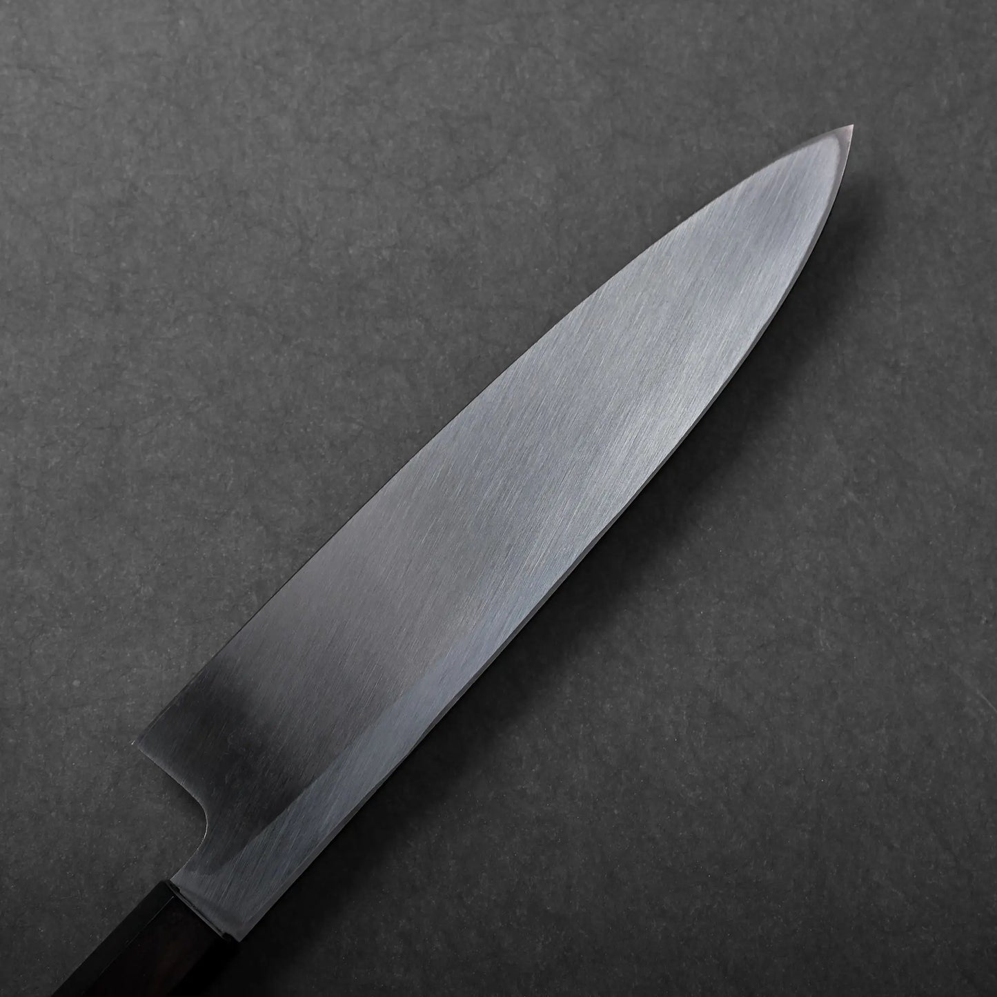 Hatsukokoro Shirasagi kurouchi aogami#2 single bevel gyuto 210mm