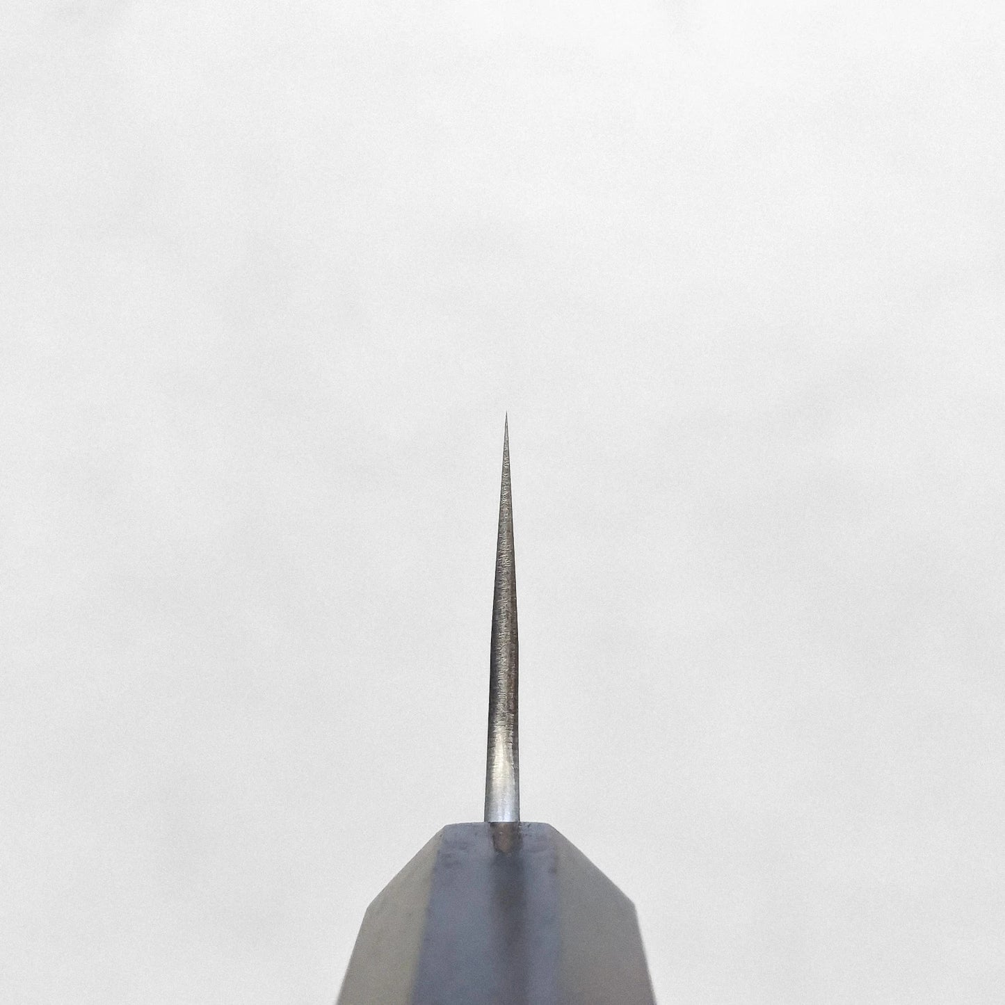 Close-up of a gyuto blade tip, showing subtle texturing and edge detail in a well-lit scene.